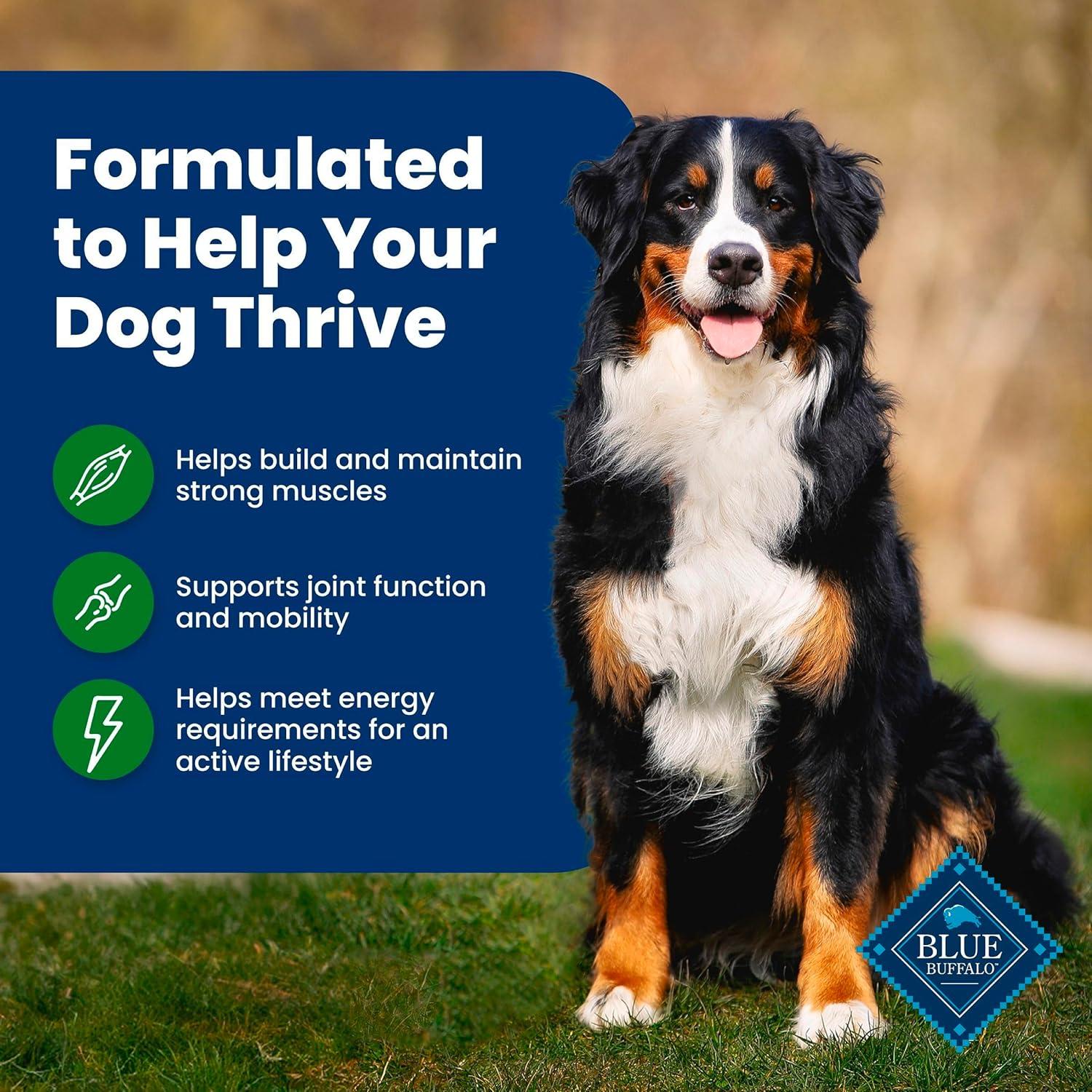 imageBlue Buffalo Life Protection Formula Adult Dry Dog Food Helps Build and Maintain Strong Muscles Made with Natural Ingredients Chicken amp Brown Rice Recipe 5lb BagLamb Brown Rice
