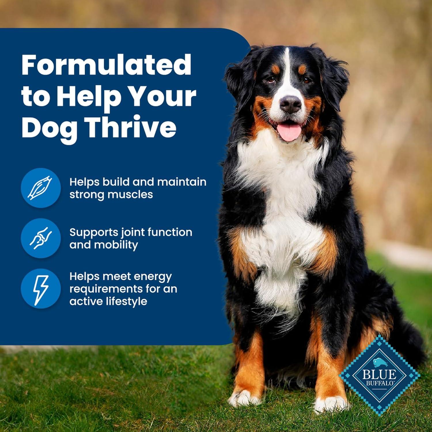 imageBlue Buffalo Life Protection Formula Adult Dry Dog Food Helps Build and Maintain Strong Muscles Made with Natural Ingredients Chicken amp Brown Rice Recipe 5lb BagChicken Brown Rice