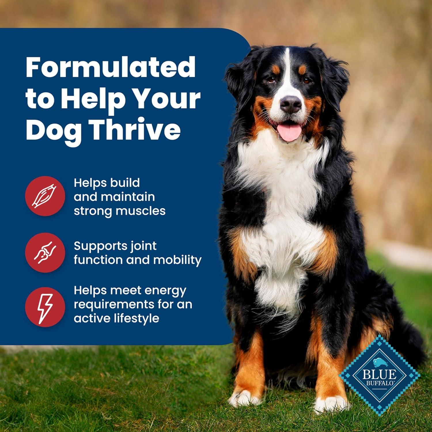 imageBlue Buffalo Life Protection Formula Adult Dry Dog Food Helps Build and Maintain Strong Muscles Made with Natural Ingredients Chicken amp Brown Rice Recipe 5lb BagBeef Brown Rice