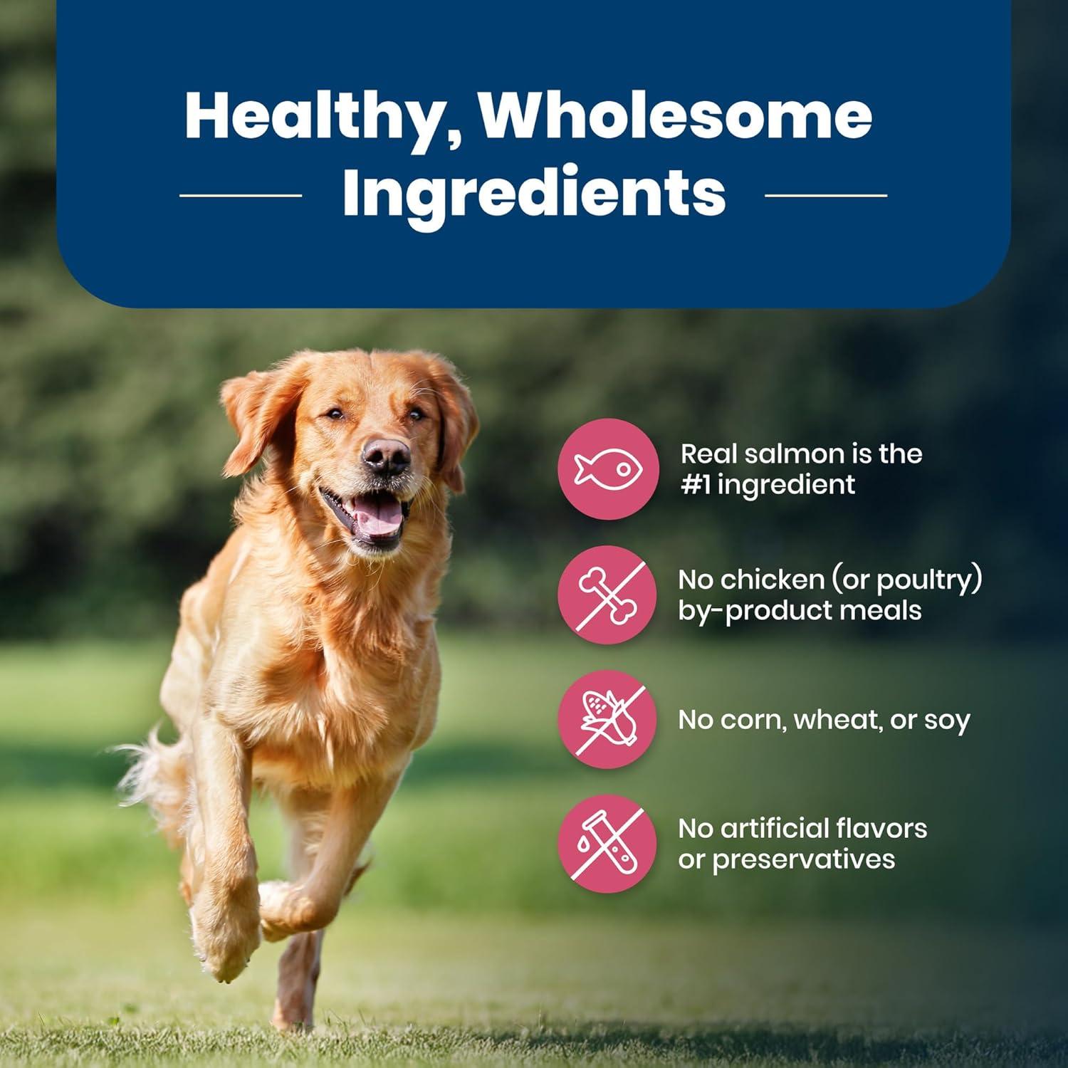 imageBlue Buffalo Life Protection Formula Adult Dry Dog Food Helps Build and Maintain Strong Muscles Made with Natural Ingredients Chicken amp Brown Rice Recipe 5lb BagSalmon ChickenFree