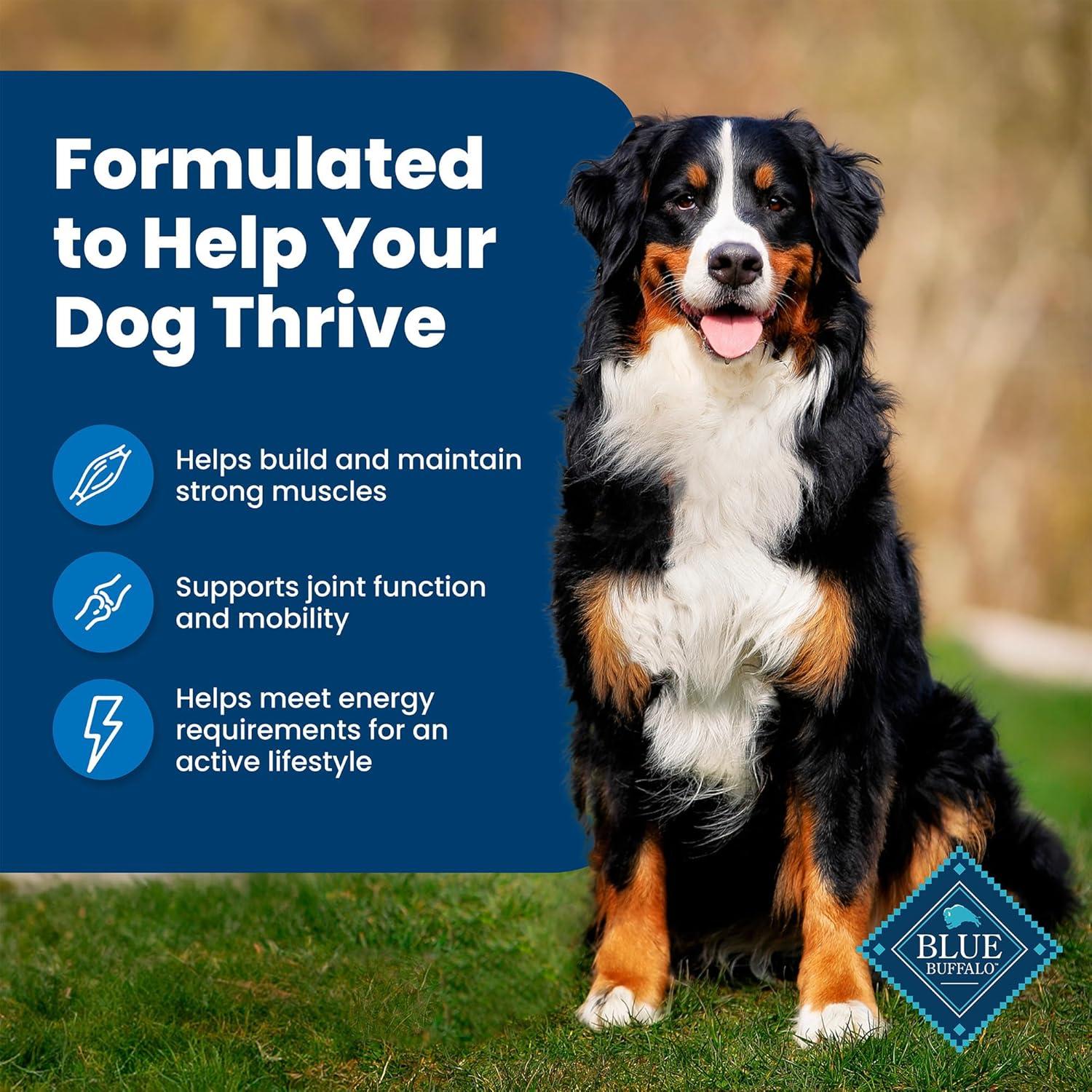 imageBlue Buffalo Life Protection Formula Adult Dry Dog Food Helps Build and Maintain Strong Muscles Made with Natural Ingredients Chicken amp Brown Rice Recipe 5lb BagChicken Brown Rice