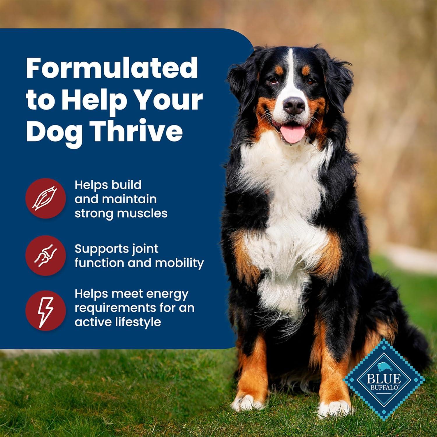 imageBlue Buffalo Life Protection Formula Adult Dry Dog Food Helps Build and Maintain Strong Muscles Made with Natural Ingredients Chicken amp Brown Rice Recipe 5lb BagBeef Brown Rice