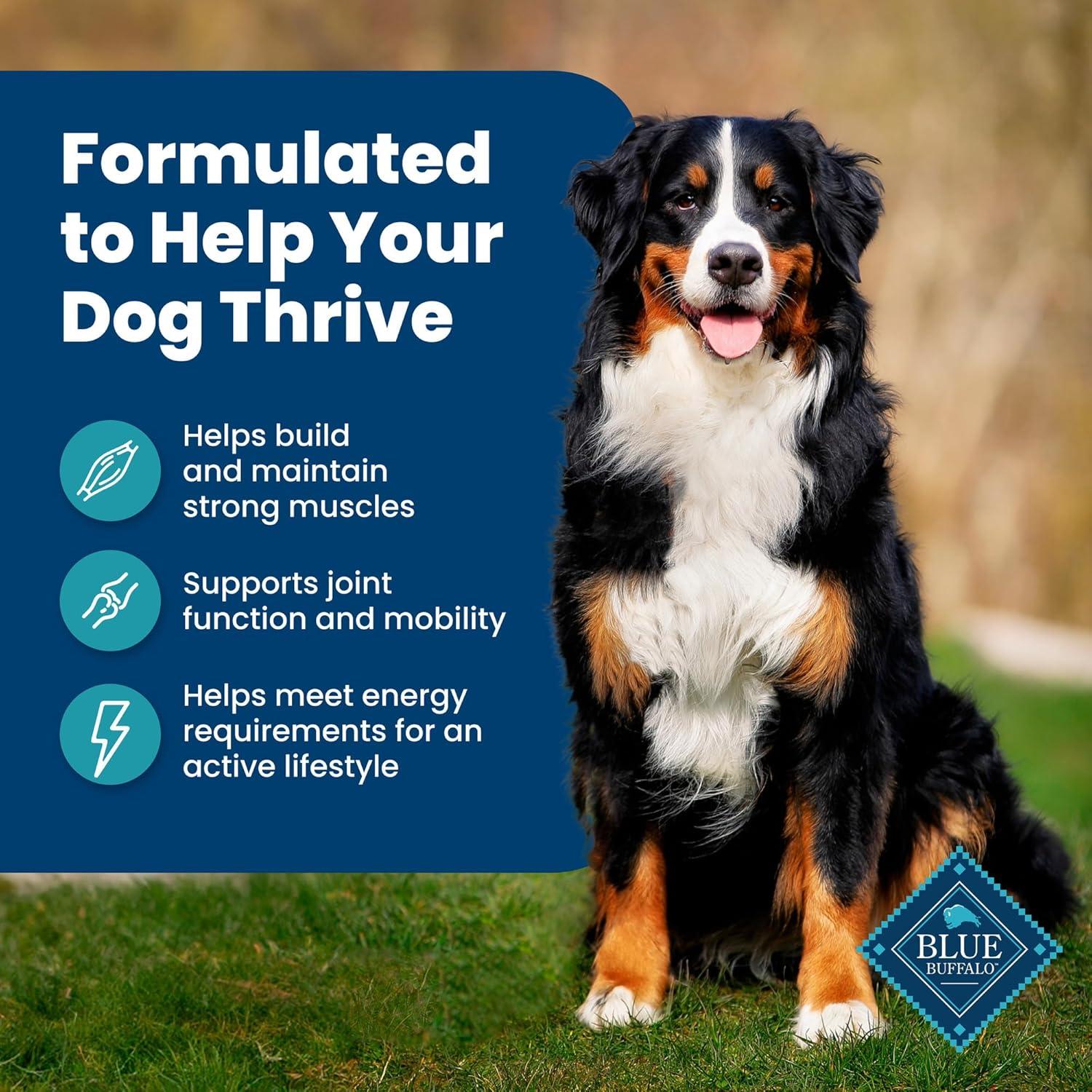 imageBlue Buffalo Life Protection Formula Adult Dry Dog Food Helps Build and Maintain Strong Muscles Made with Natural Ingredients Chicken amp Brown Rice Recipe 5lb BagFish Brown Rice