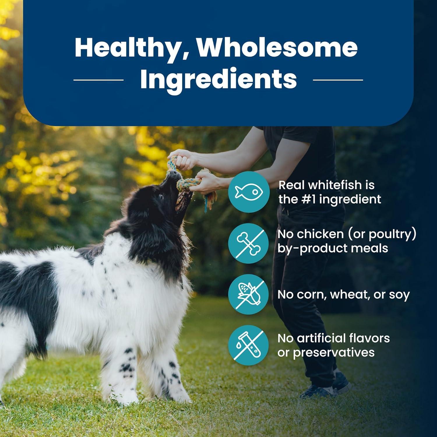 imageBlue Buffalo Life Protection Formula Adult Dry Dog Food Helps Build and Maintain Strong Muscles Made with Natural Ingredients Chicken amp Brown Rice Recipe 5lb BagFish Brown Rice