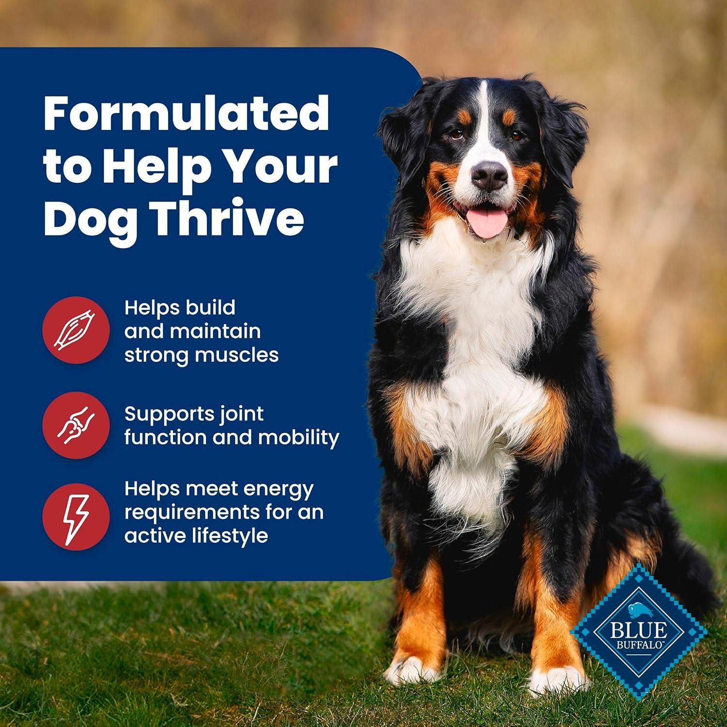 imageBlue Buffalo Life Protection Formula Adult Dry Dog Food Helps Build and Maintain Strong Muscles Made with Natural Ingredients Chicken amp Brown Rice Recipe 5lb BagBeef Brown Rice