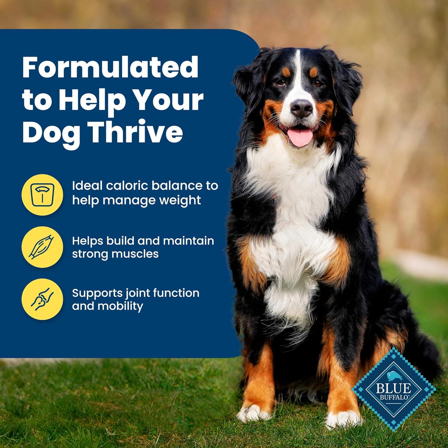 imageBlue Buffalo Life Protection Formula Adult Small Breed Dry Dog Food Supports High Energy Needs Made with Natural Ingredients Chicken amp Brown Rice Recipe 15lb BagHealthy Weight Chicken Brown Rice
