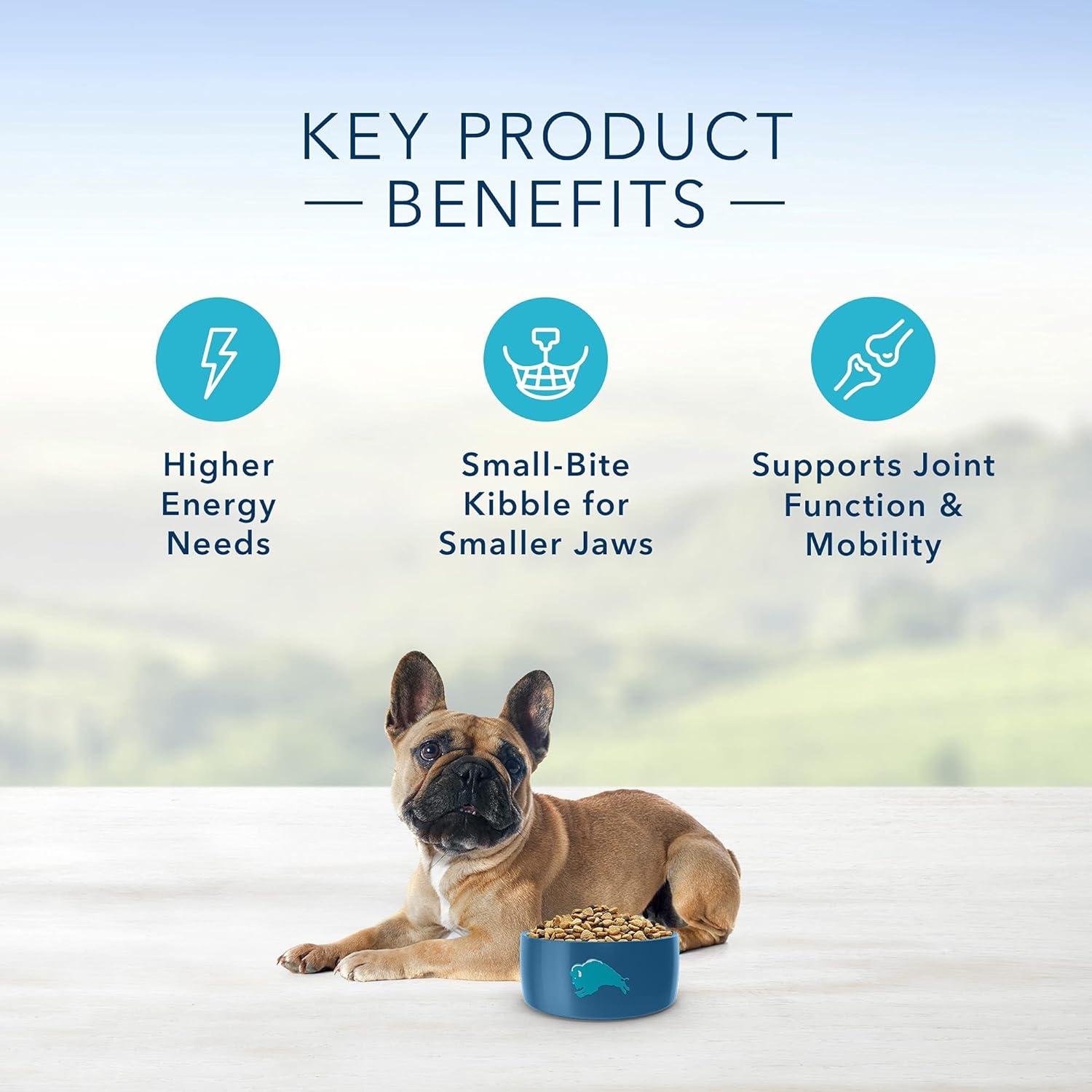 imageBlue Buffalo Life Protection Formula Adult Small Breed Dry Dog Food Supports High Energy Needs Made with Natural Ingredients Chicken amp Brown Rice Recipe 15lb BagLamb Brown Rice