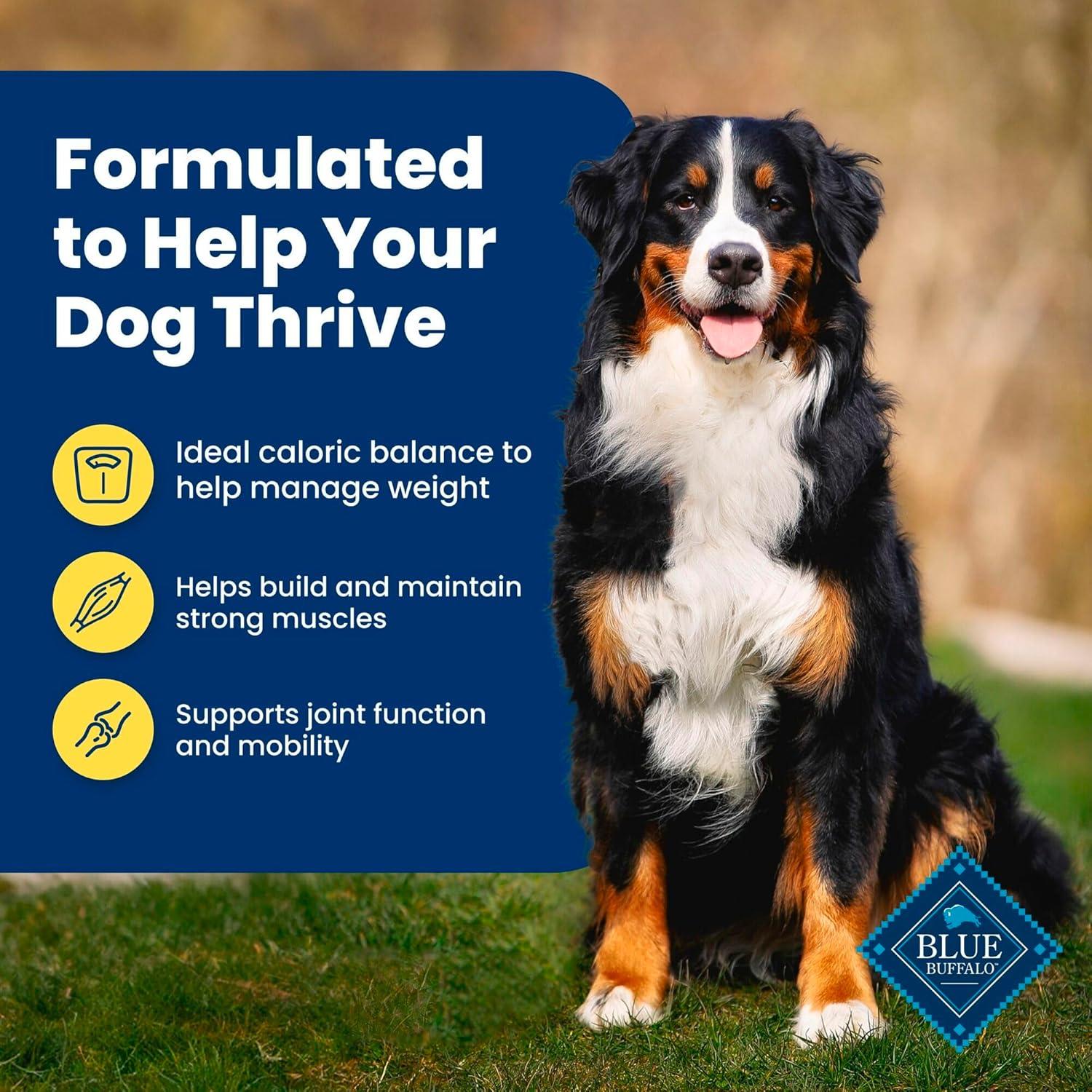 imageBlue Buffalo Life Protection Formula Adult Small Breed Dry Dog Food Supports High Energy Needs Made with Natural Ingredients Chicken amp Brown Rice Recipe 15lb BagHealthy Weight Chicken Brown Rice