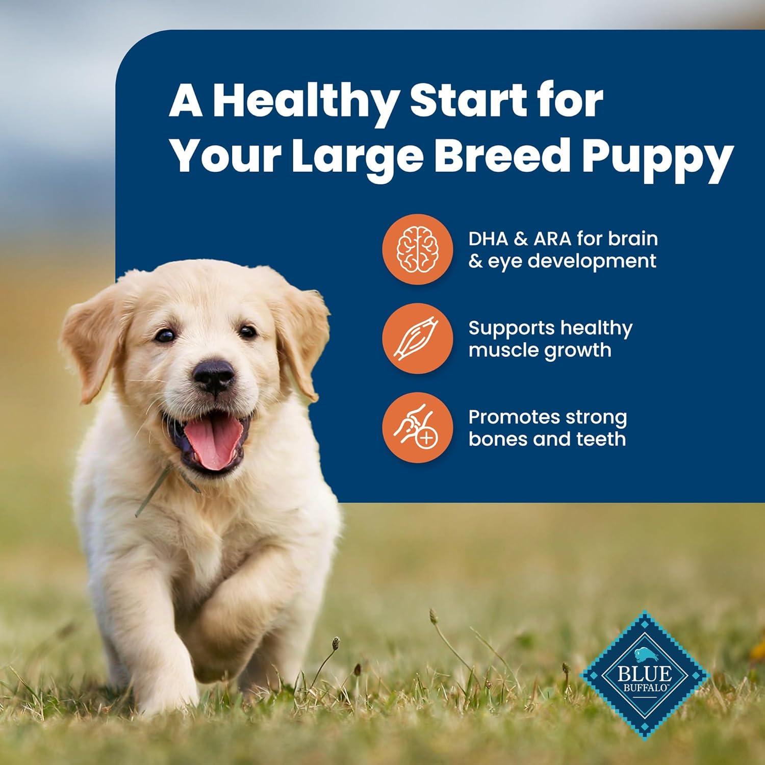 imageBlue Buffalo Life Protection Formula Large Breed Puppy Dry Dog Food with DHA Vital Nutrients amp Antioxidants Made with Natural Ingredients Chicken amp Brown Rice Recipe 34lb BagChicken Brown Rice