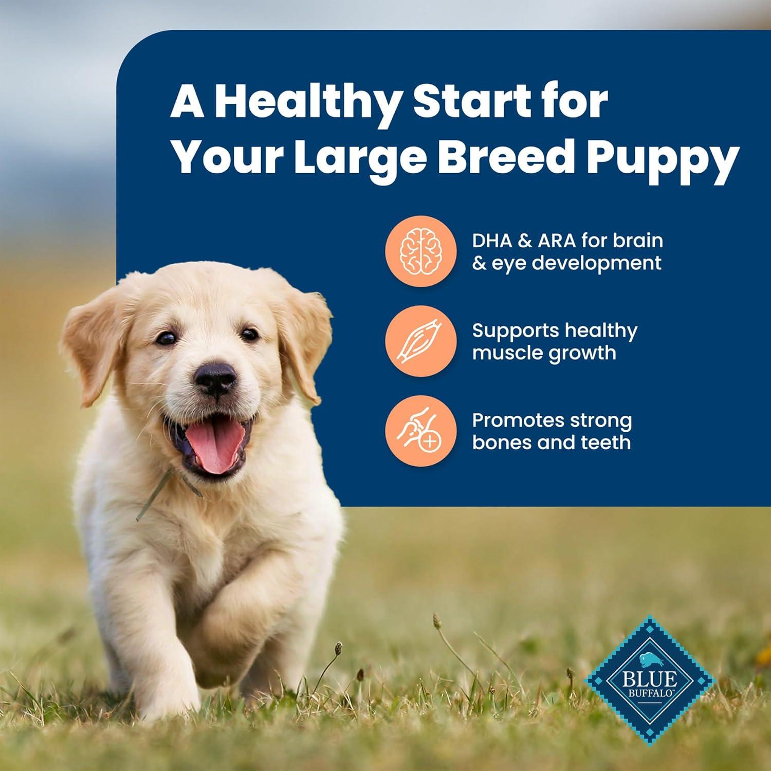 imageBlue Buffalo Life Protection Formula Large Breed Puppy Dry Dog Food with DHA Vital Nutrients amp Antioxidants Made with Natural Ingredients Chicken amp Brown Rice Recipe 34lb BagChicken Brown Rice