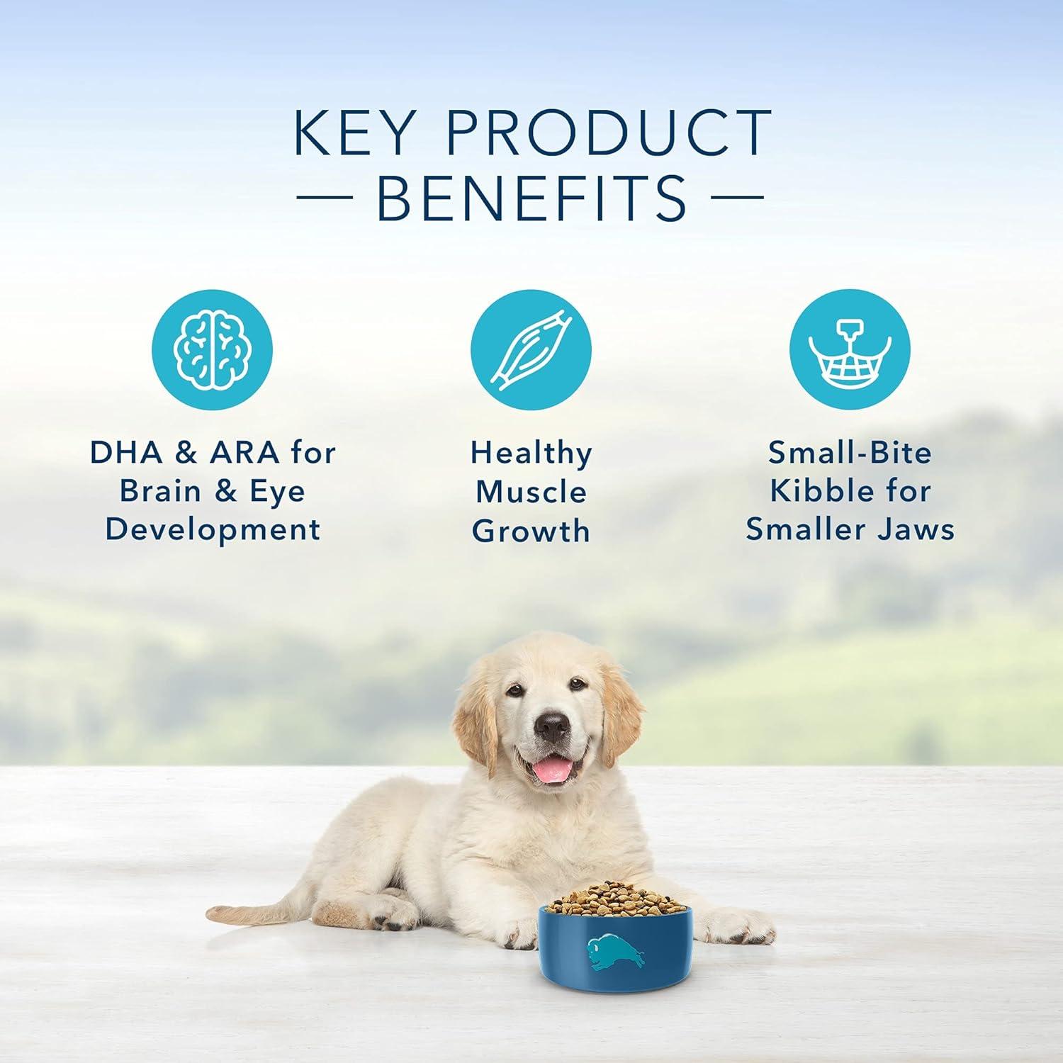 imageBlue Buffalo Life Protection Formula Puppy Dry Dog Food with DHA and ARA Made with Natural Ingredients Chicken amp Brown Rice Recipe 5lb BagChicken Brown Rice