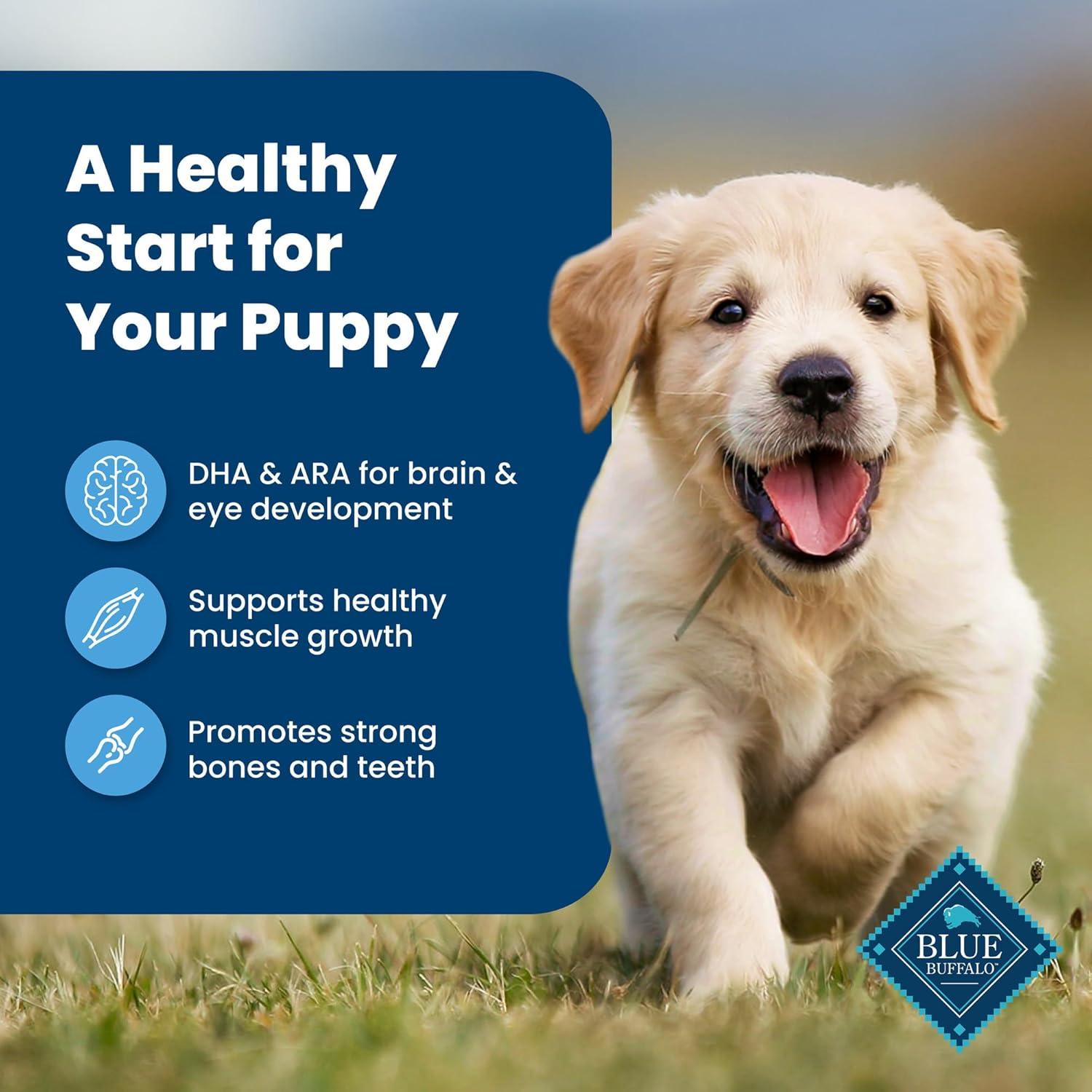 imageBlue Buffalo Life Protection Formula Puppy Dry Dog Food with DHA and ARA Made with Natural Ingredients Chicken amp Brown Rice Recipe 5lb BagChicken Brown Rice