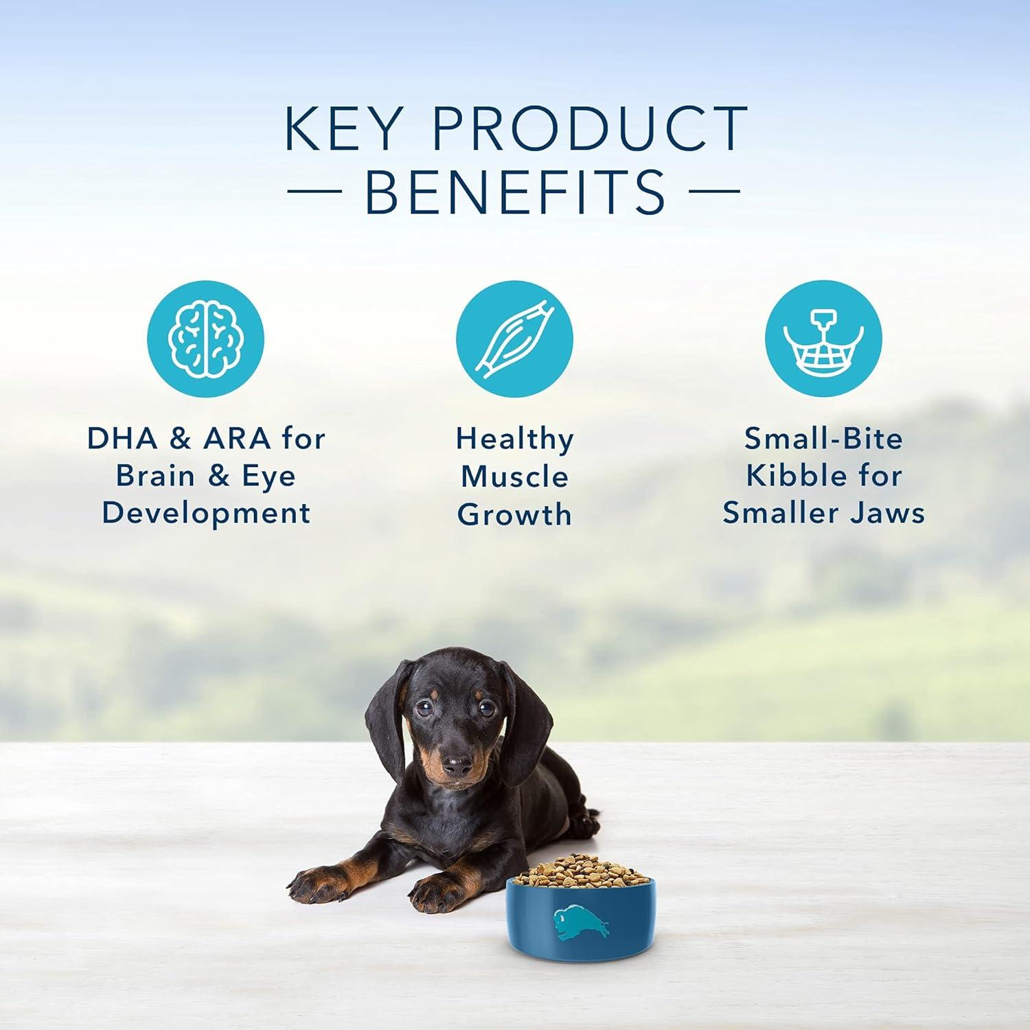 imageBlue Buffalo Life Protection Formula Small Breed Puppy Dry Dog Food with DHA Vital Nutrients amp Antioxidants Made with Natural Ingredients Chicken amp Oatmeal Recipe 5lb BagChicken Oatmeal