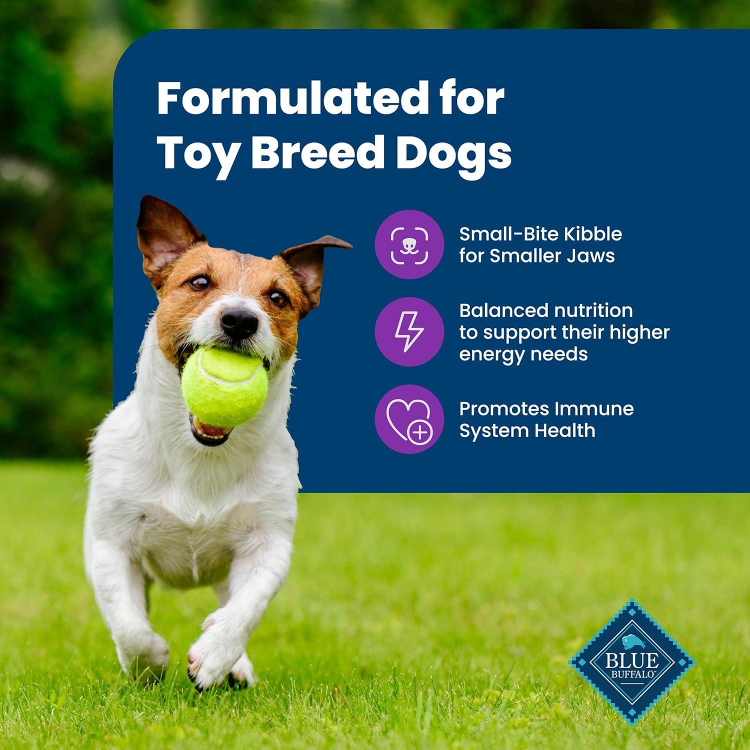 imageBlue Buffalo Life Protection Formula Toy Breed Adult Dry Dog Food Supports High Energy Needs Made with Natural Ingredients Chicken amp Brown Rice Recipe 4lb Bag4 Pound Pack of 1
