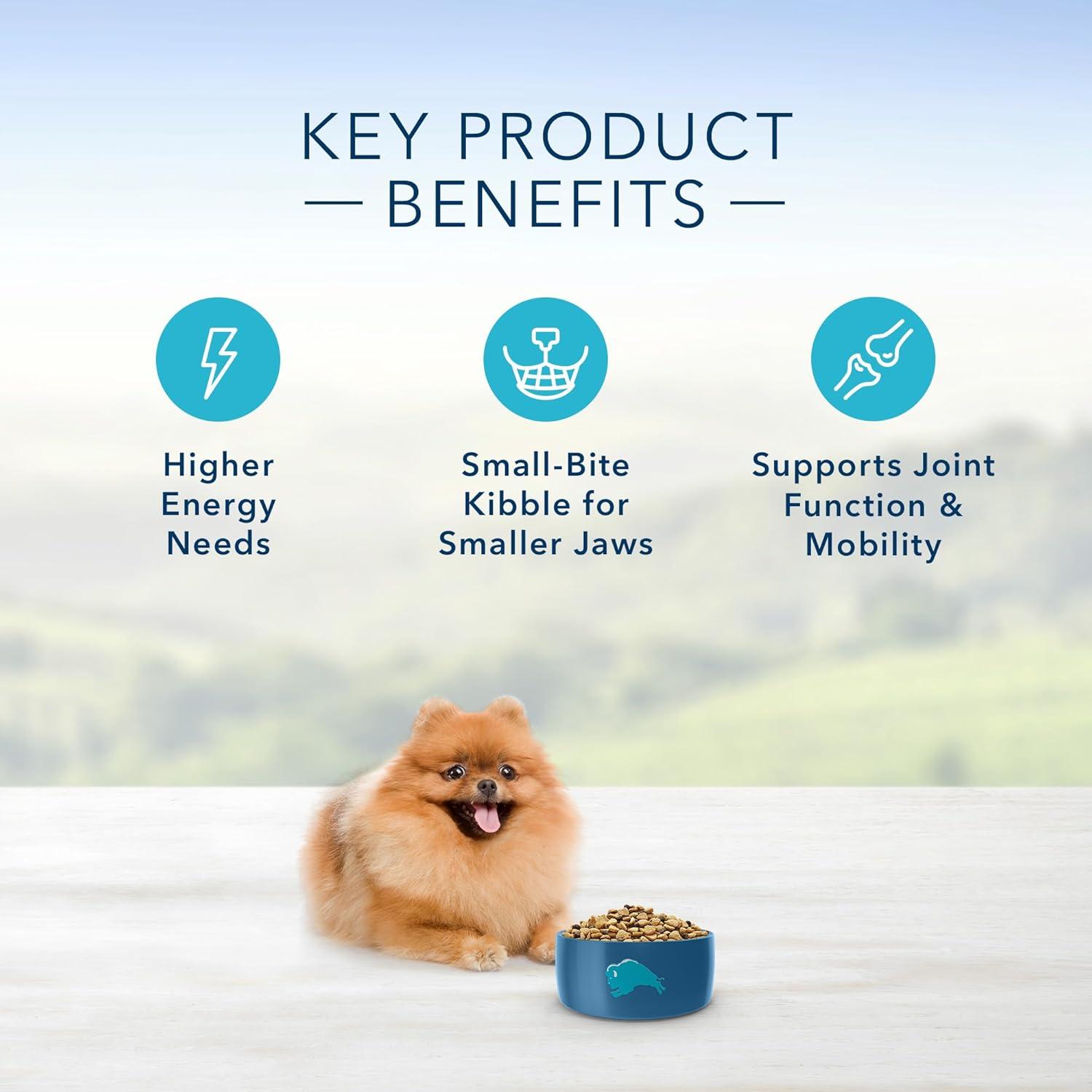 imageBlue Buffalo Life Protection Formula Toy Breed Adult Dry Dog Food Supports High Energy Needs Made with Natural Ingredients Chicken amp Brown Rice Recipe 4lb Bag4 Pound Pack of 2