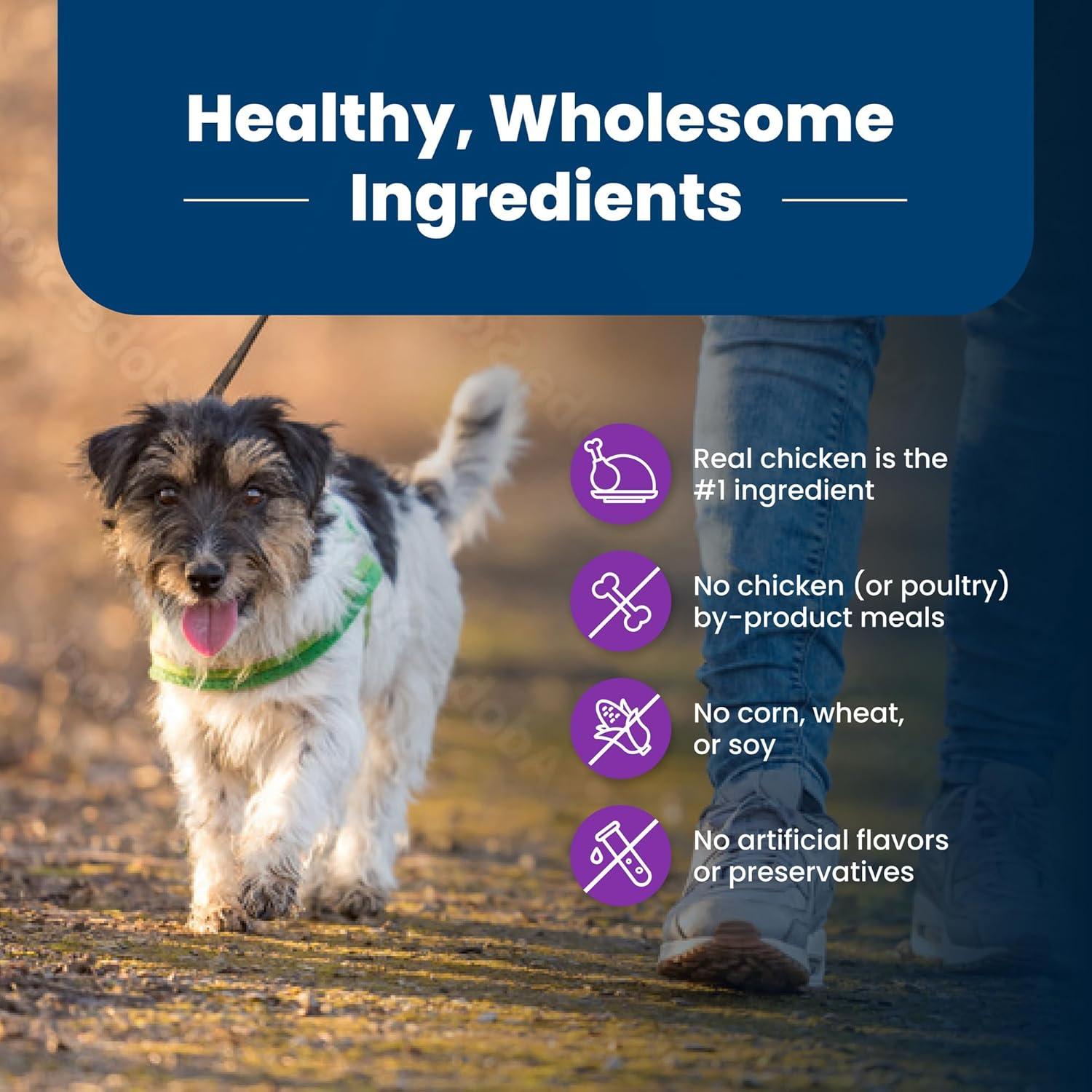 imageBlue Buffalo Life Protection Formula Toy Breed Adult Dry Dog Food Supports High Energy Needs Made with Natural Ingredients Chicken amp Brown Rice Recipe 4lb Bag4 Pound Pack of 1