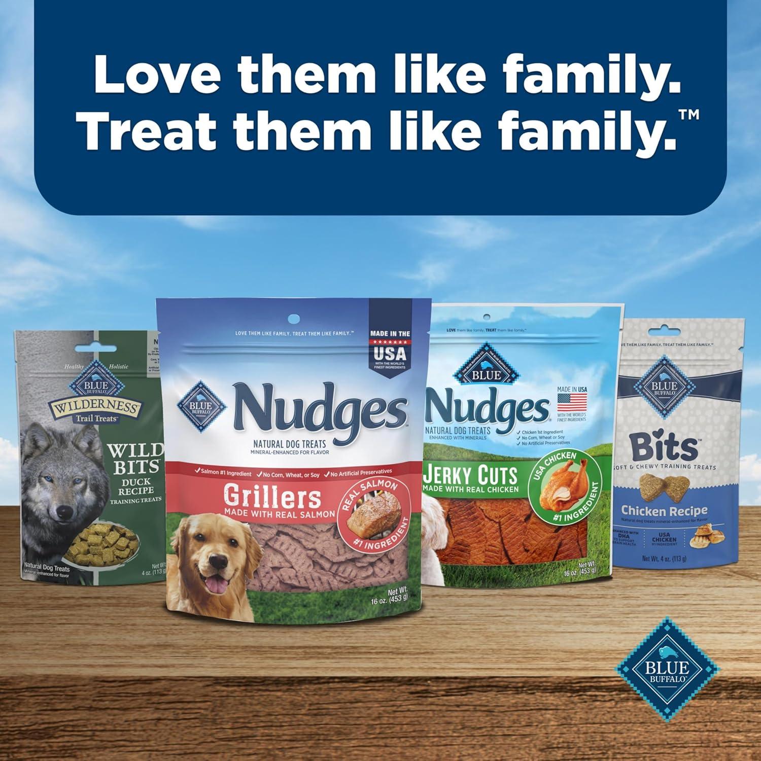 imageBlue Buffalo Nudges Grillers Natural Dog Treats Made in the USA with Real Chicken 16oz BagSalmon