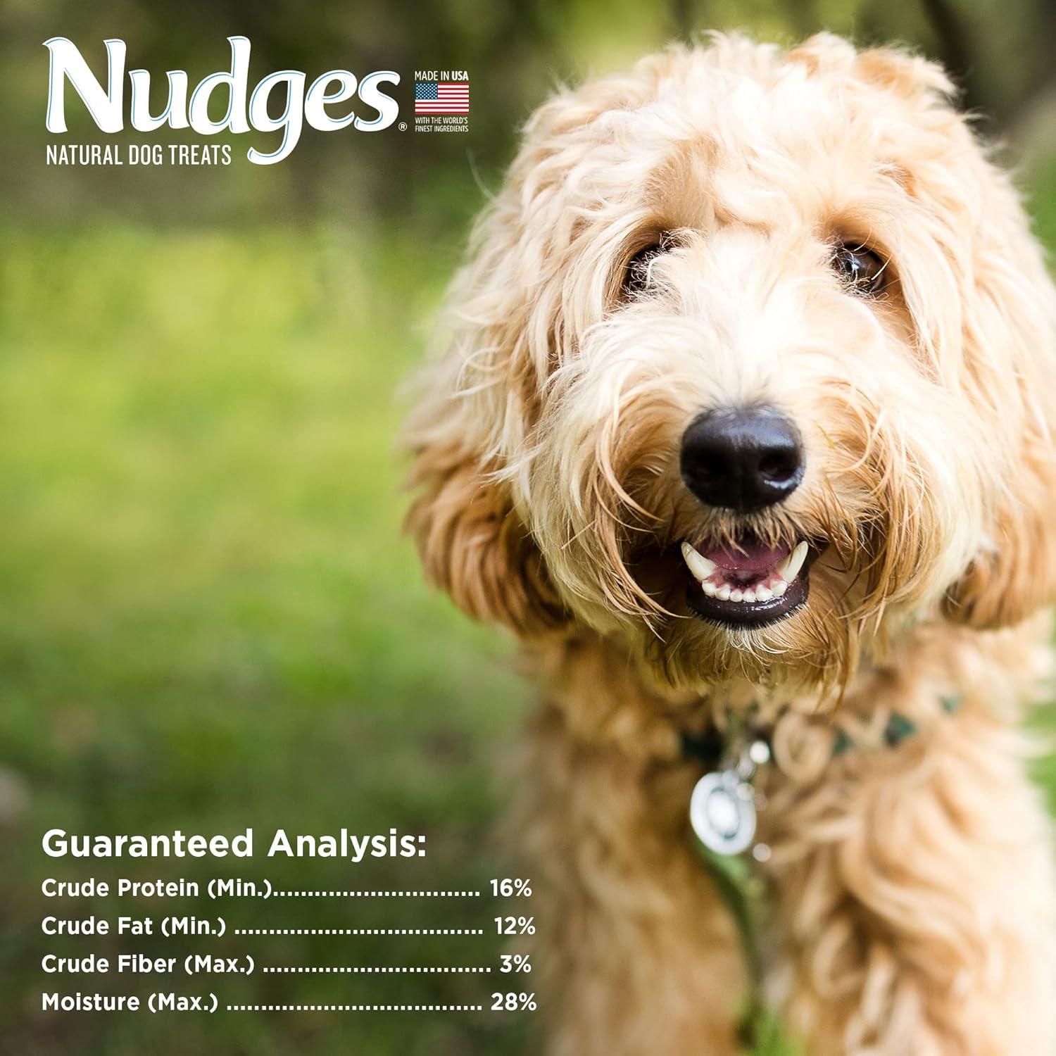 imageBlue Buffalo Nudges Grillers Natural Dog Treats Made in the USA with Real Steak 16oz BagBeef