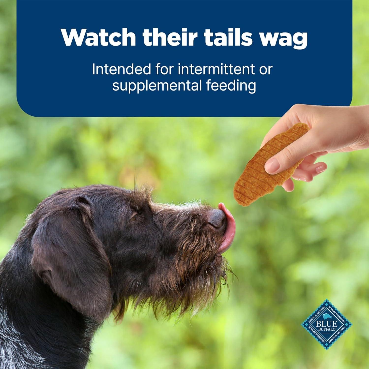 imageBlue Buffalo Nudges Jerky Bites Dog Treats Made in the USA with Natural Ingredients BiteSized Pieces Chicken 16oz BagChicken