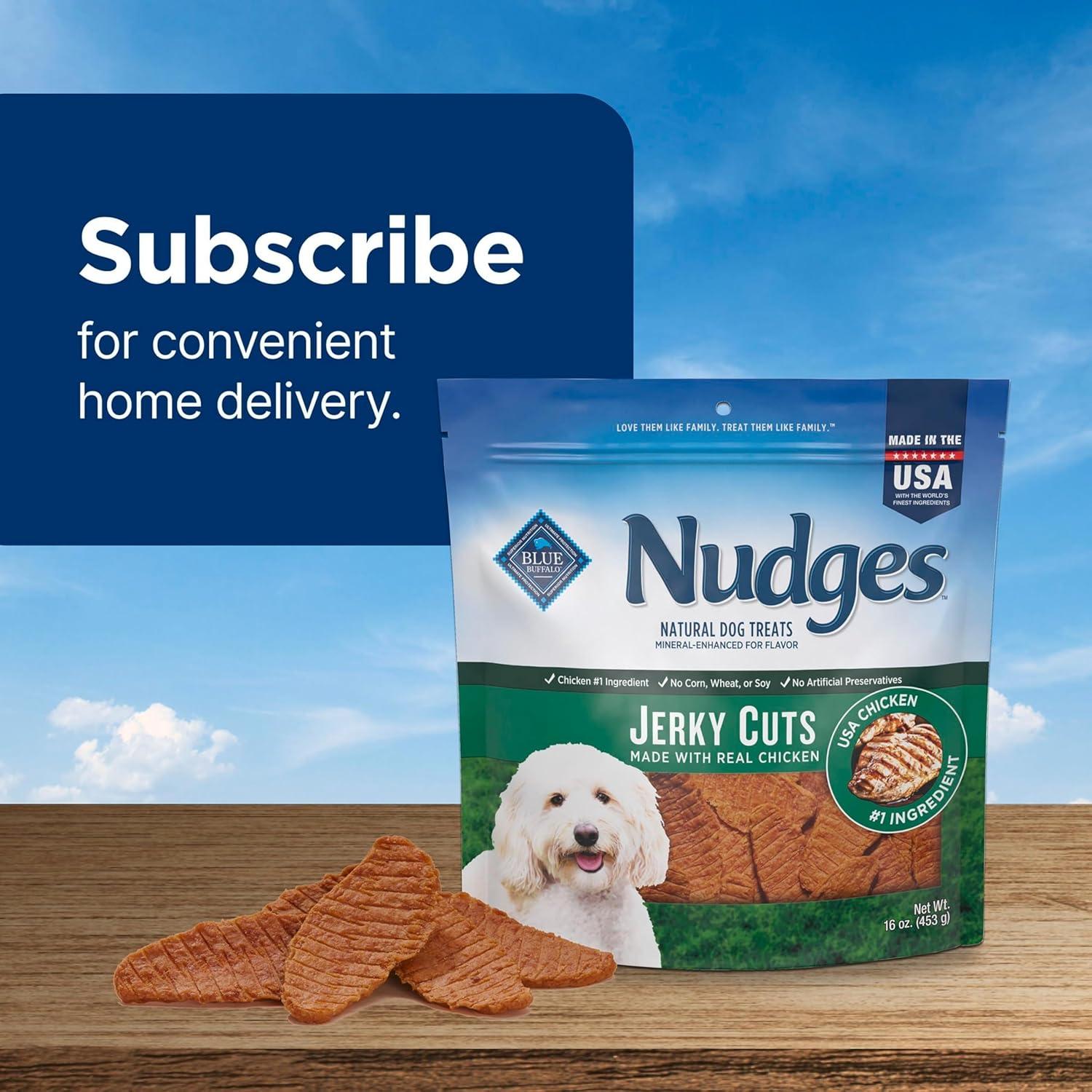 imageBlue Buffalo Nudges Jerky Bites Dog Treats Made in the USA with Natural Ingredients BiteSized Pieces Chicken 16oz BagChicken