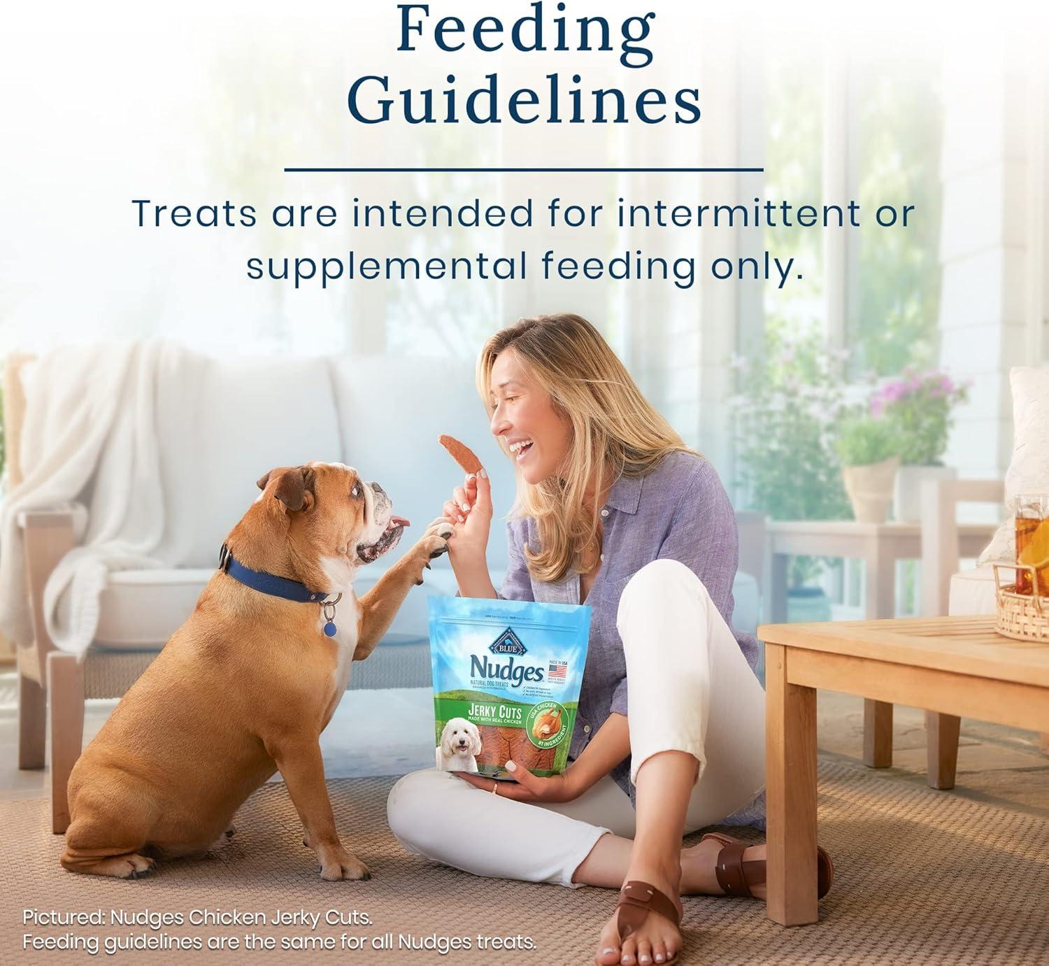 imageBlue Buffalo Nudges Jerky Bites Dog Treats Made in the USA with Natural Ingredients BiteSized Pieces Chicken 16oz BagChicken