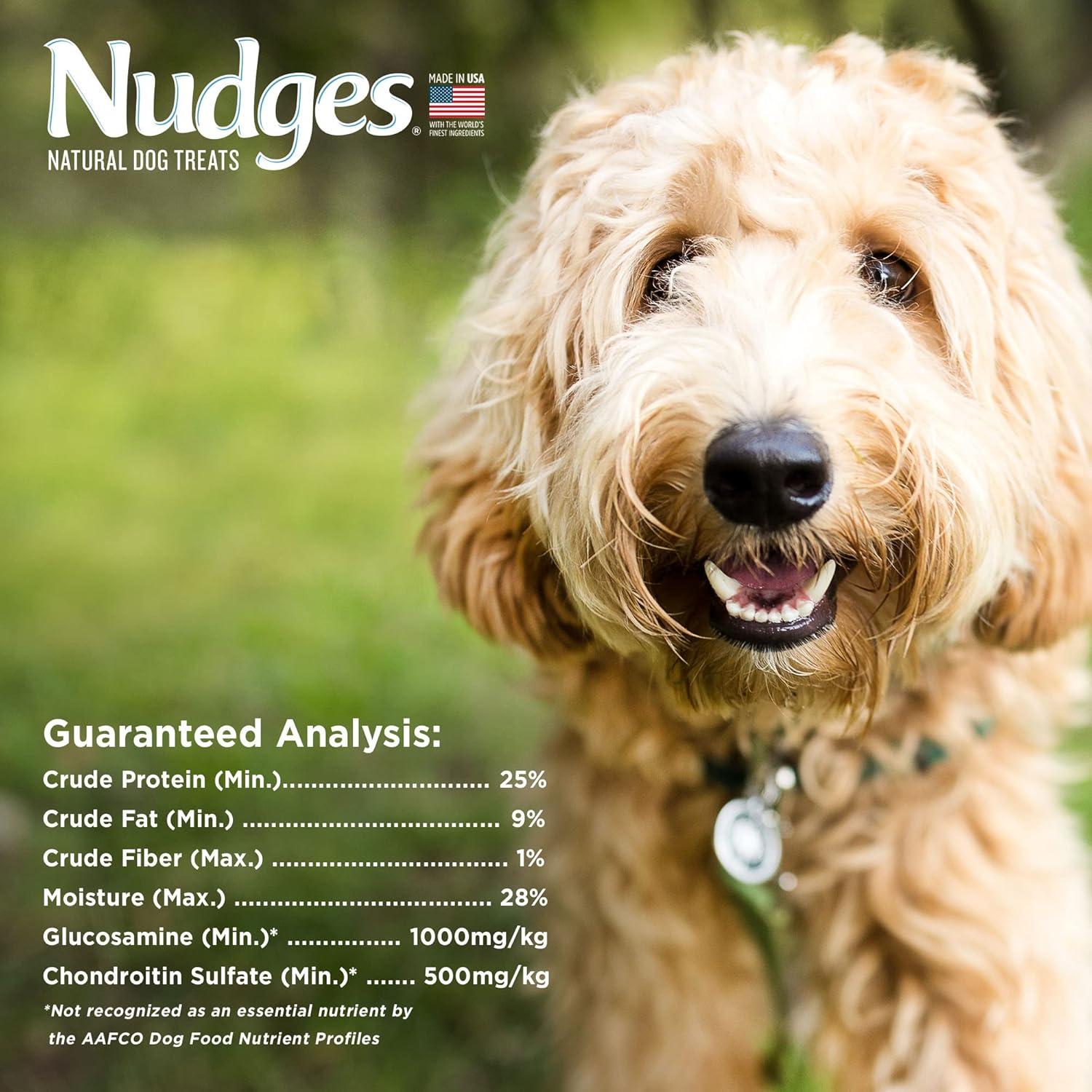 imageBlue Buffalo Nudges Jerky Bites Dog Treats Made in the USA with Natural Ingredients BiteSized Pieces Chicken 16oz BagChicken