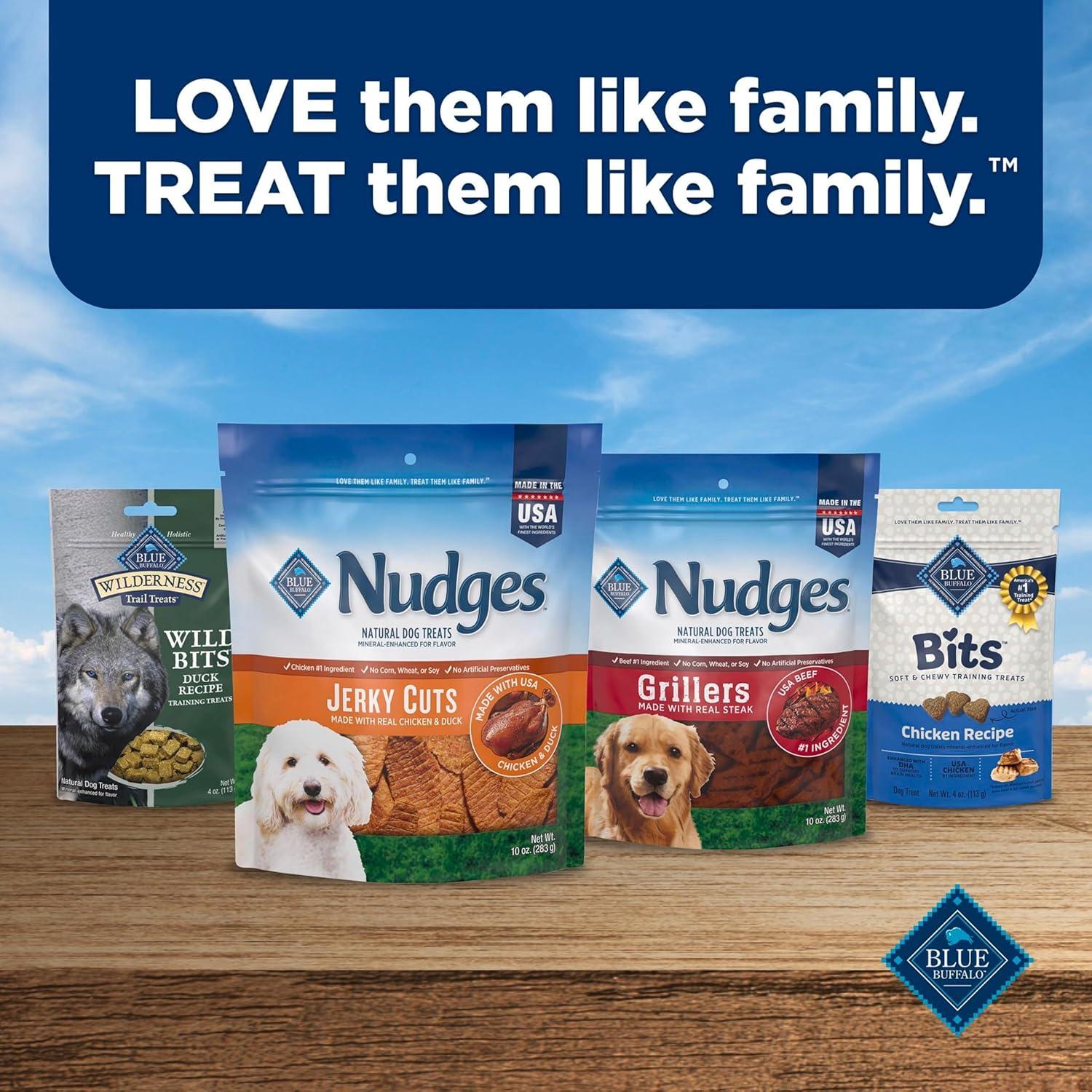 imageBlue Buffalo Nudges Jerky Bites Dog Treats Made in the USA with Natural Ingredients BiteSized Pieces Chicken 16oz BagChicken