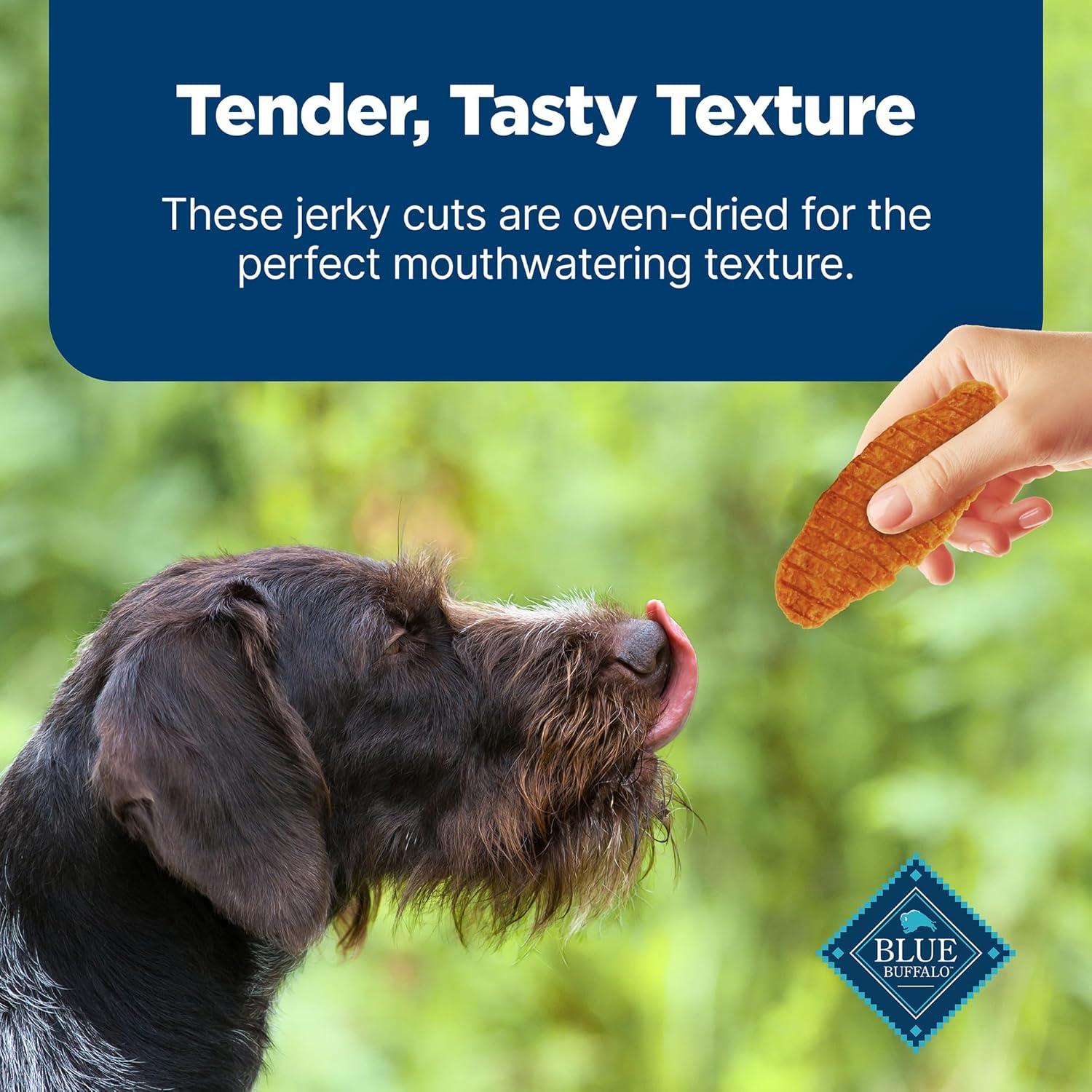 imageBlue Buffalo Nudges Jerky Bites Dog Treats Made in the USA with Natural Ingredients BiteSized Pieces Chicken 16oz BagChicken and Duck