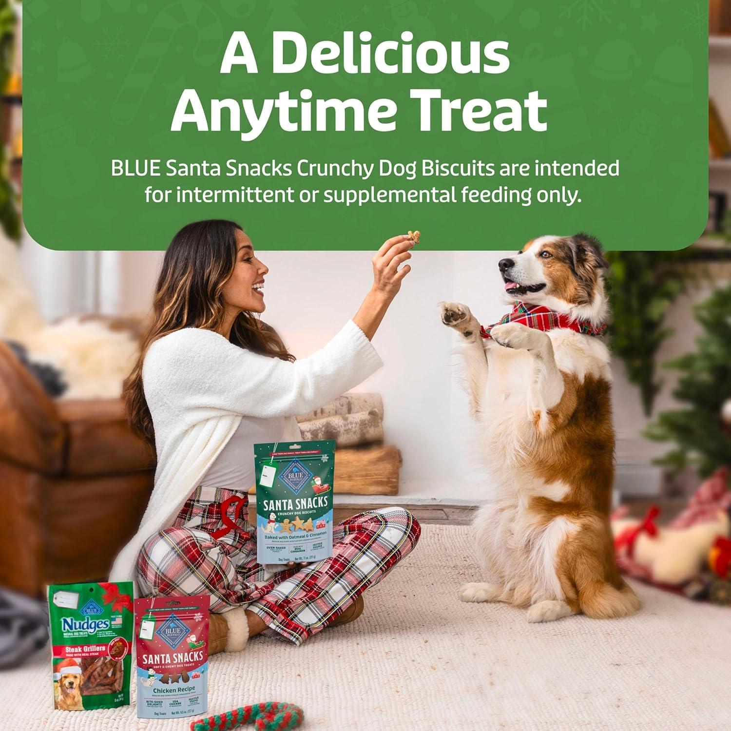 imageBlue Buffalo Santa Snacks Crunchy Dog Biscuits OvenBaked With Natural Ingredients Oatmeal amp Cinnamon 11oz Bag1 Count Pack of 1