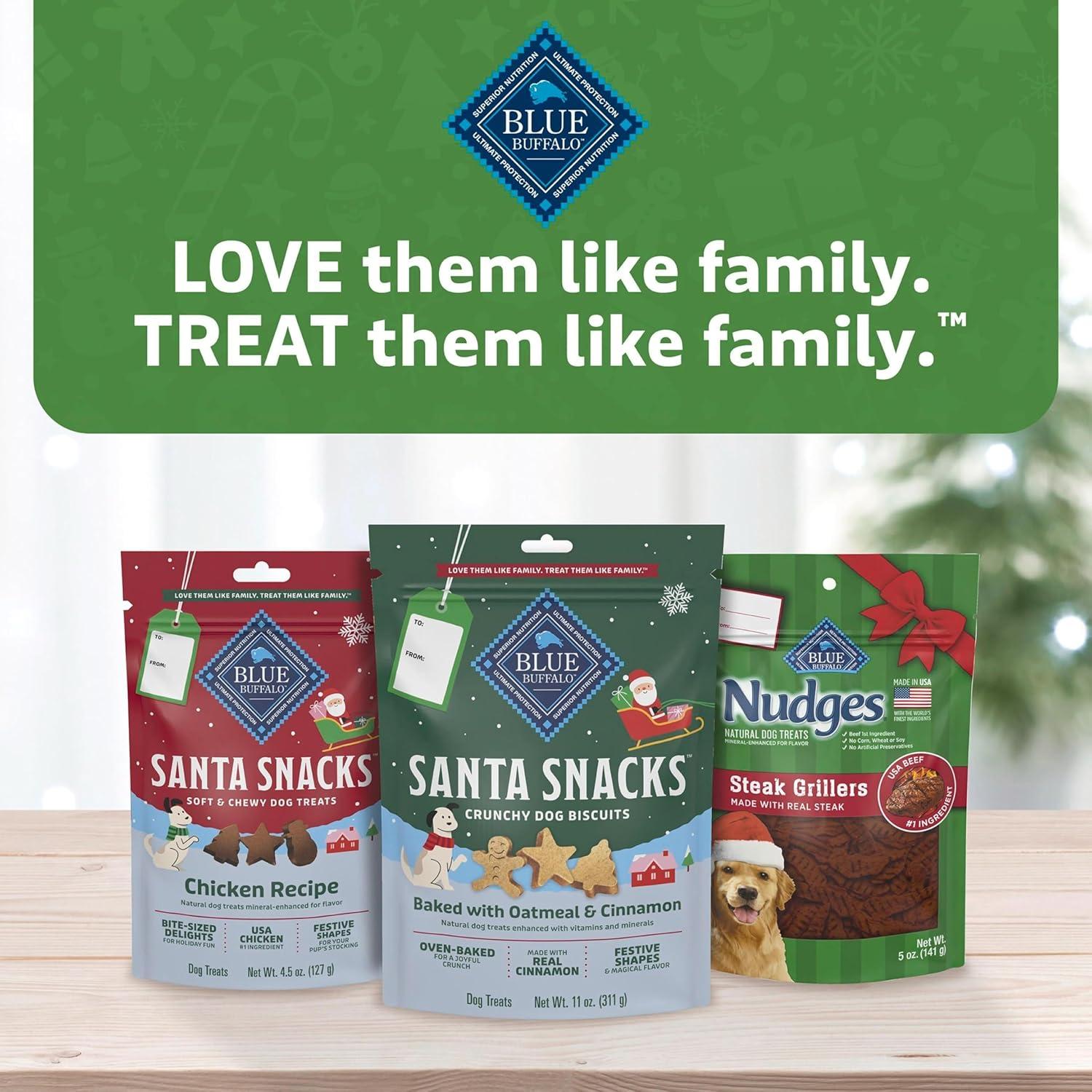 imageBlue Buffalo Santa Snacks Crunchy Dog Biscuits OvenBaked With Natural Ingredients Oatmeal amp Cinnamon 11oz Bag1 Count Pack of 1