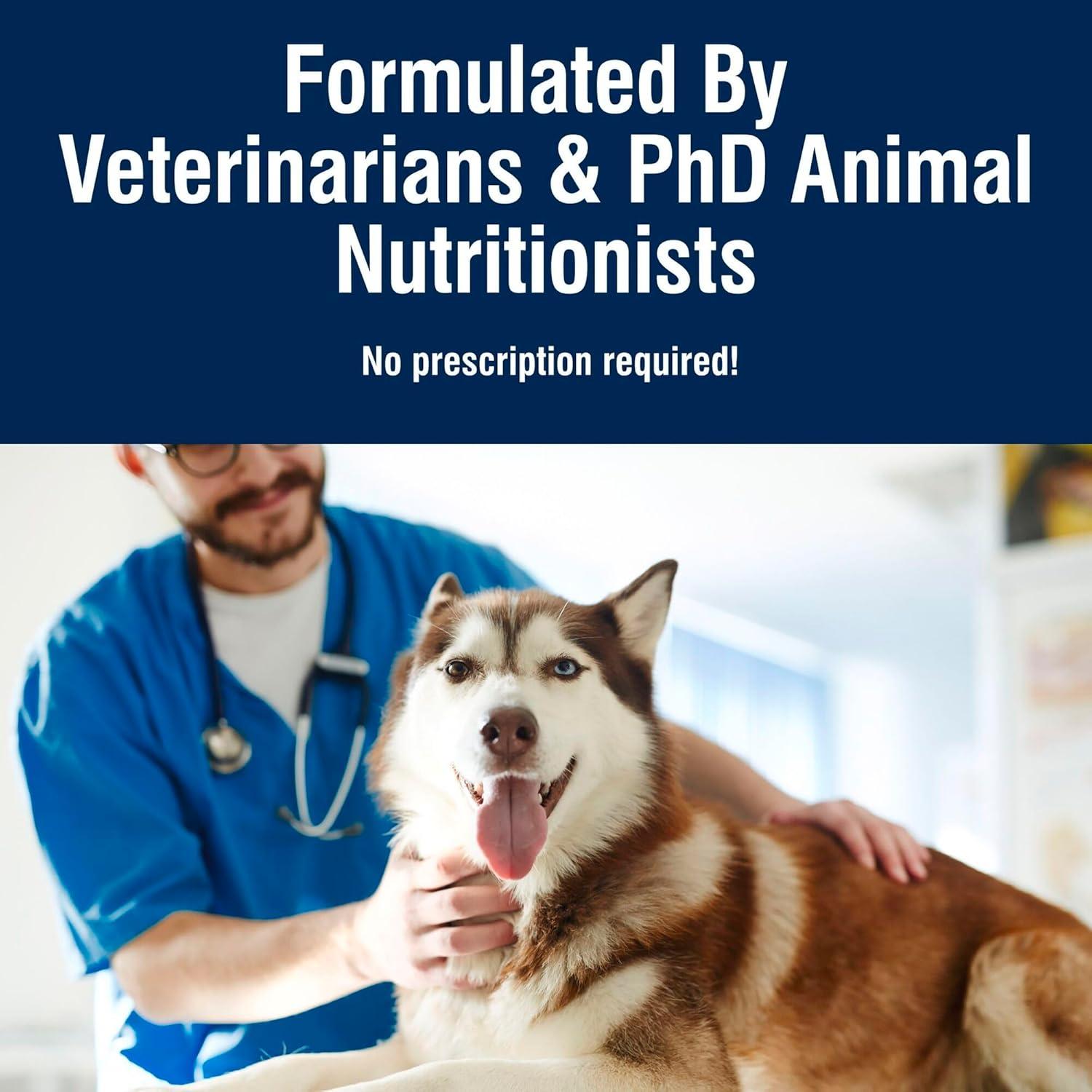 imageBlue Buffalo True Solutions Active Dog Wet Dog Food for Active Adult Dogs Made with Natural Ingredients Chicken 125oz Cans 12 Count