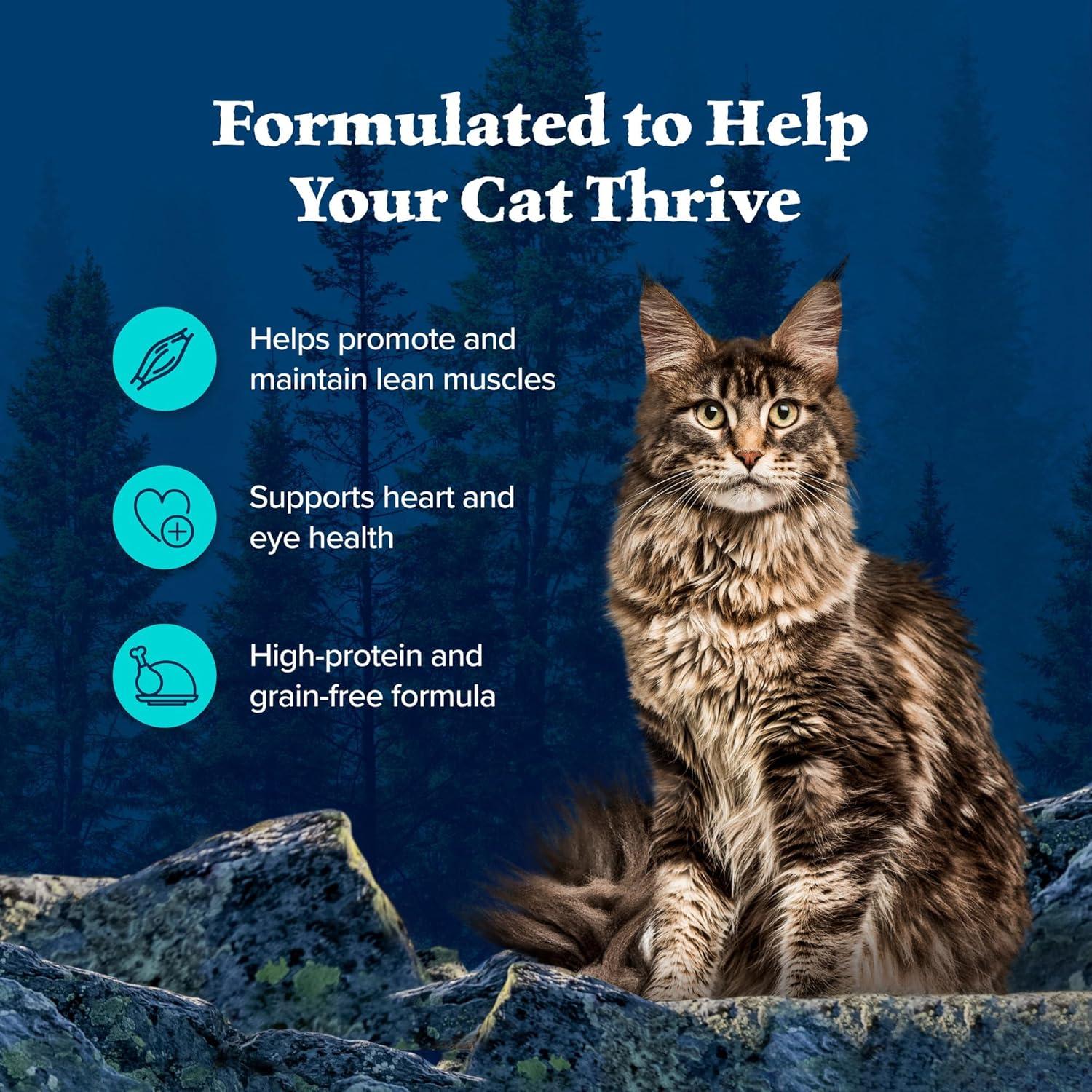 imageBlue Buffalo Wilderness High Protein Grain Free Natural Kitten Pate Wet Cat Food Chicken amp Salmon 3oz cans 48 Count 24 of Each FlavorChicken Trout