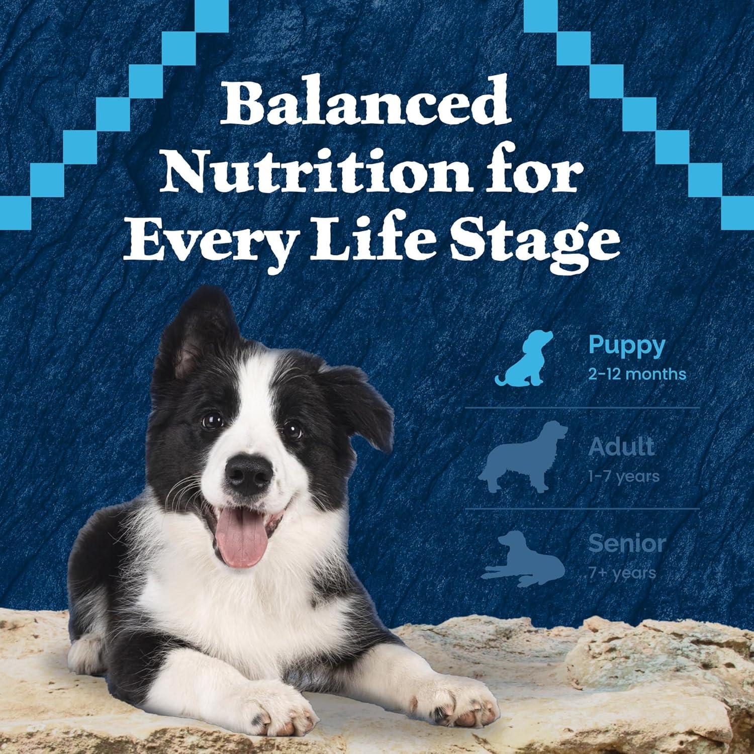 imageBlue Buffalo Wilderness HighProtein Dry Dog Food for Large Breed Puppies Made in The USA with Natural Ingredients Plus Wholesome Grains Chicken 24lb Bag15 Pound Pack of 1