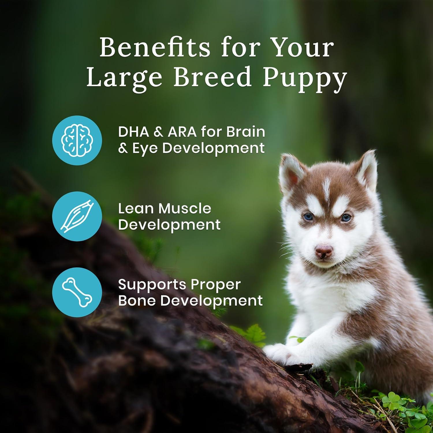 imageBlue Buffalo Wilderness HighProtein Dry Dog Food for Large Breed Puppies Made in The USA with Natural Ingredients Plus Wholesome Grains Chicken 24lb Bag28 Pound Pack of 1