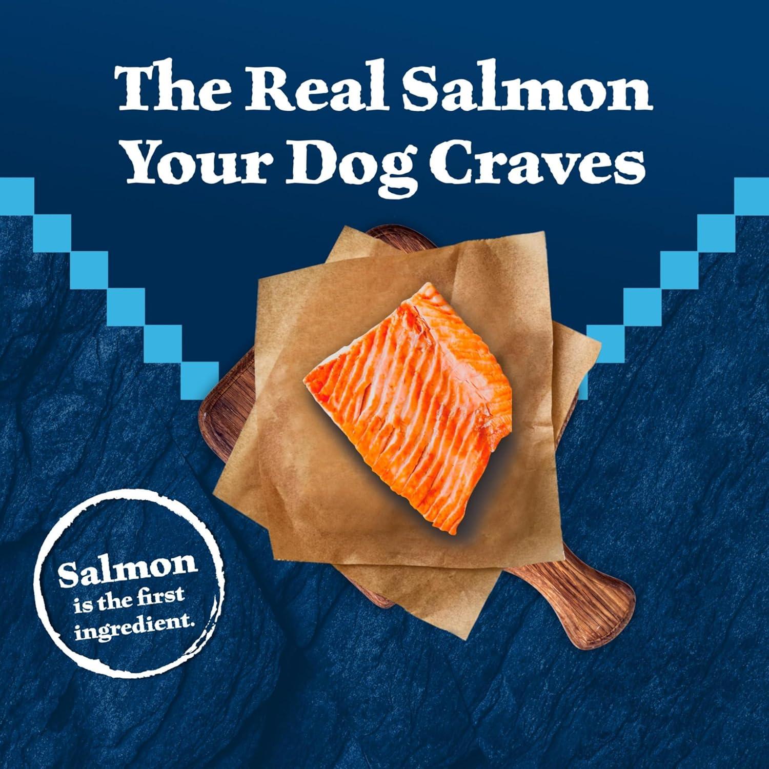 imageBlue Buffalo Wilderness HighProtein Natural Dry Food for Senior Dogs Salmon Recipe 24lb Bag45 Pound Pack of 1