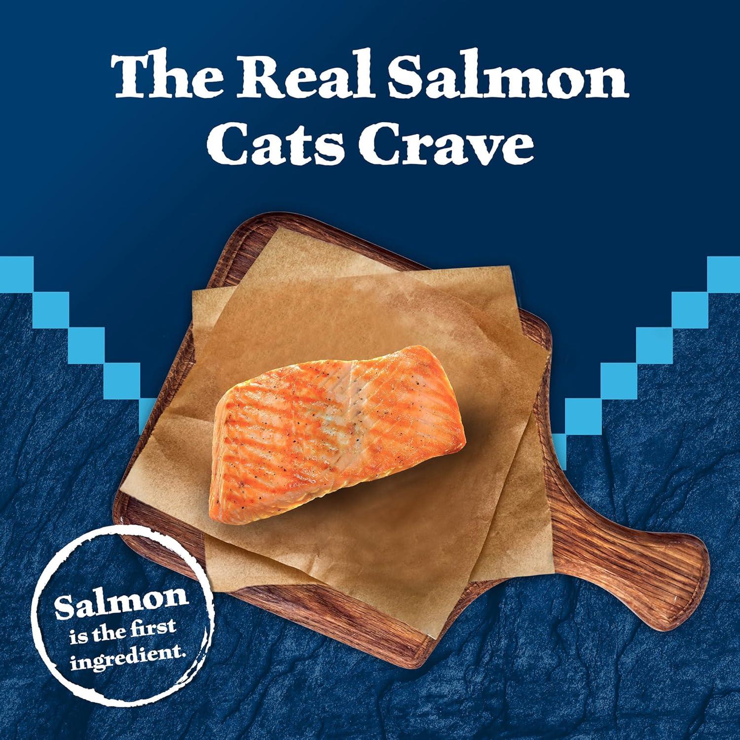 imageBlue Buffalo Wilderness Kitten Food HighProtein amp GrainFree Wet Cat Food Pat Variety Pack Chicken amp Salmon Recipes 3oz Cans 6 Count 3 of EachSalmon