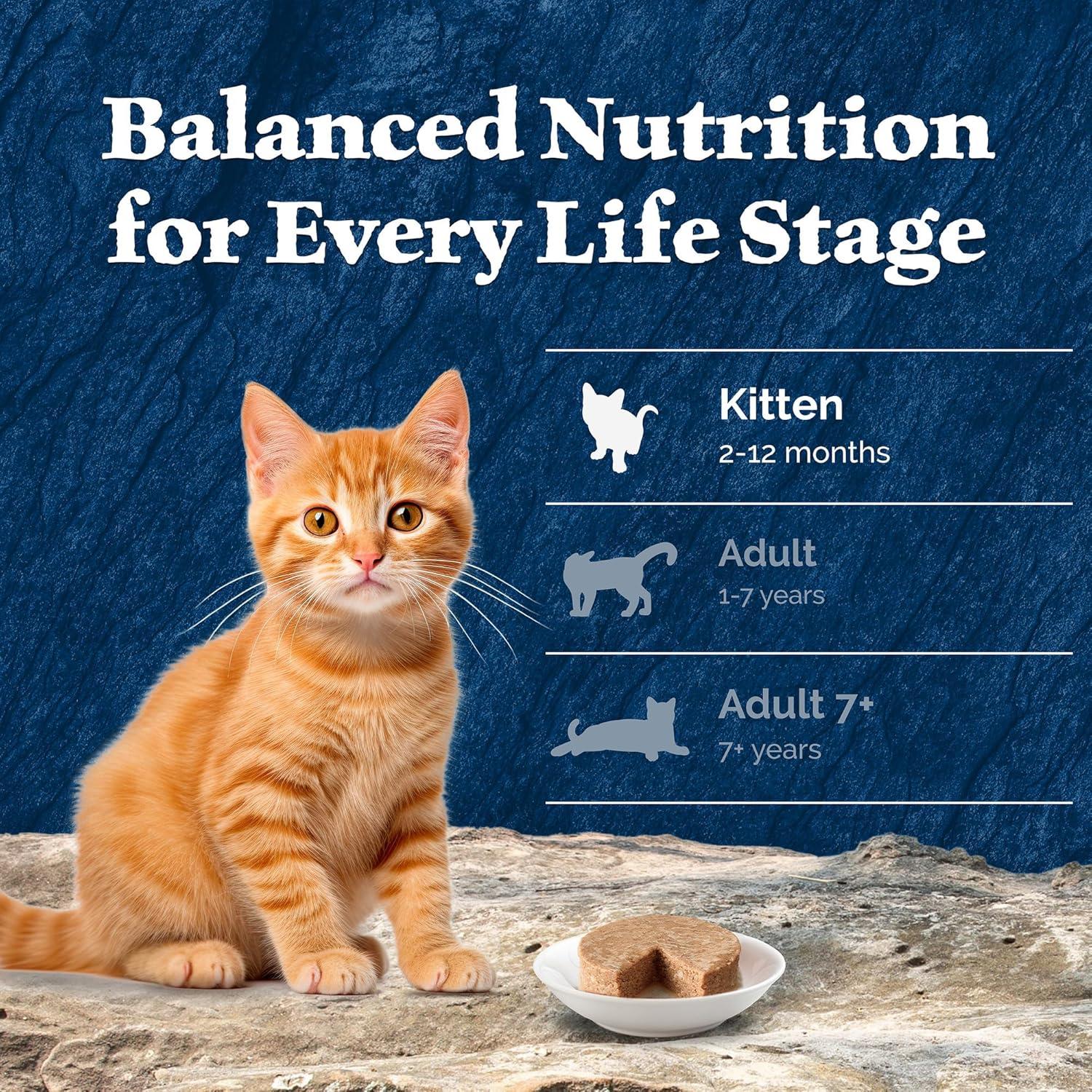 imageBlue Buffalo Wilderness Kitten Food HighProtein amp GrainFree Wet Cat Food Pat Variety Pack Chicken amp Salmon Recipes 3oz Cans 6 Count 3 of EachVariety Pack Chicken Salmon