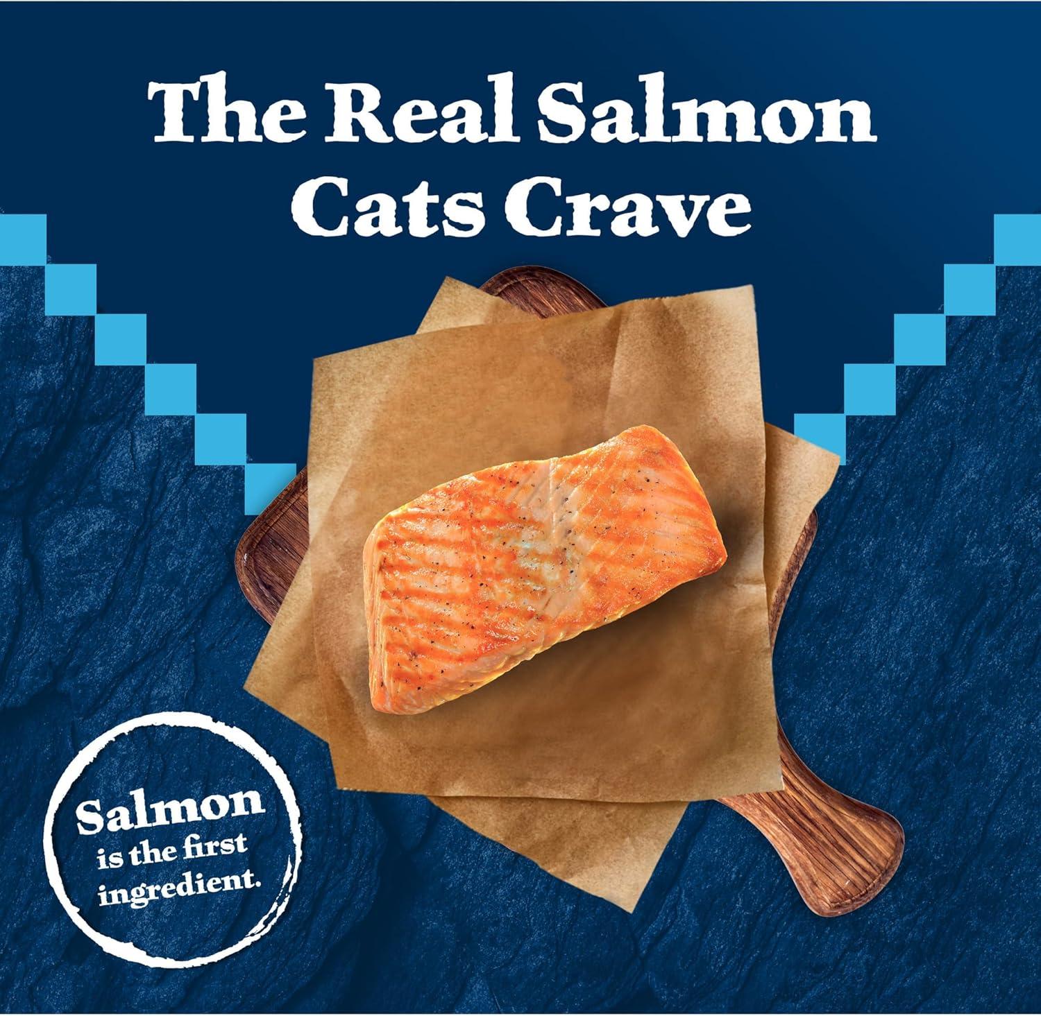 imageBlue Buffalo Wilderness Natural High Protein Grain Free Dry Food for Adult Cats Salmon 11lb Bag