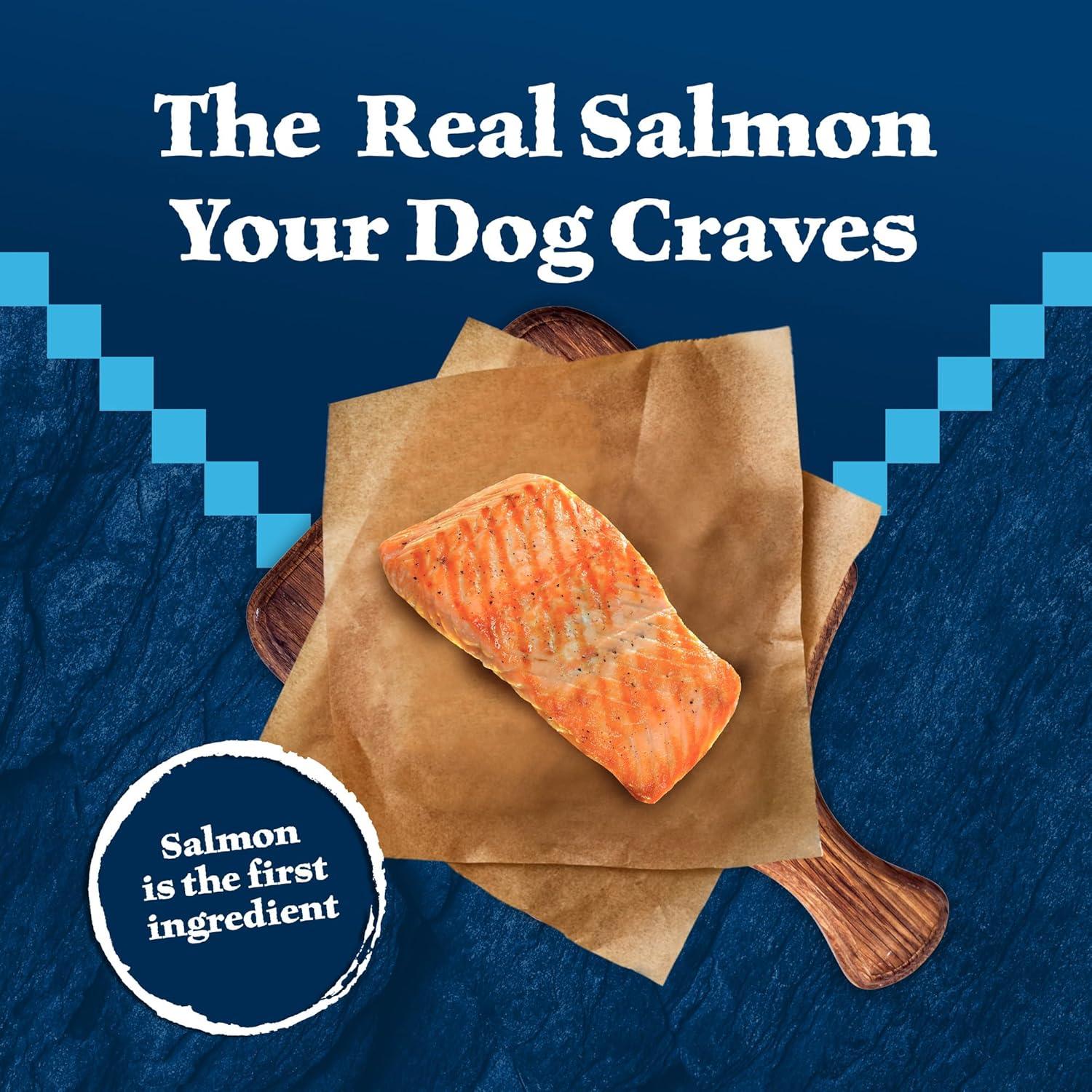 imageBlue Buffalo Wilderness Natural HighProtein Dry Food for Adult Dogs with Wholesome Grains Salmon 24lb Bag
