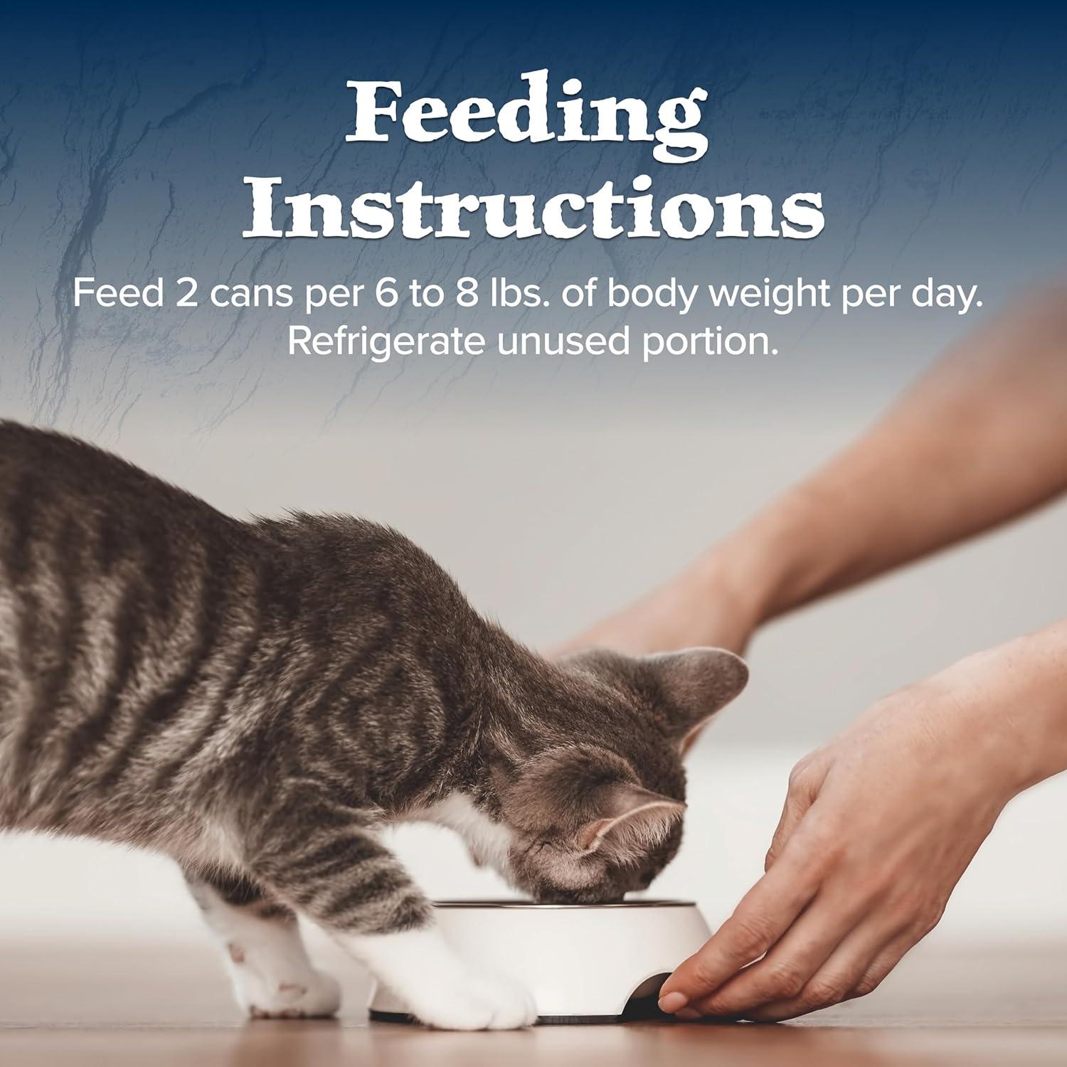 imageBlue Buffalo Wilderness Natural HighProtein GrainFree Wet Food for Adult Cats Turkey Pat 55oz Cans 24 Count