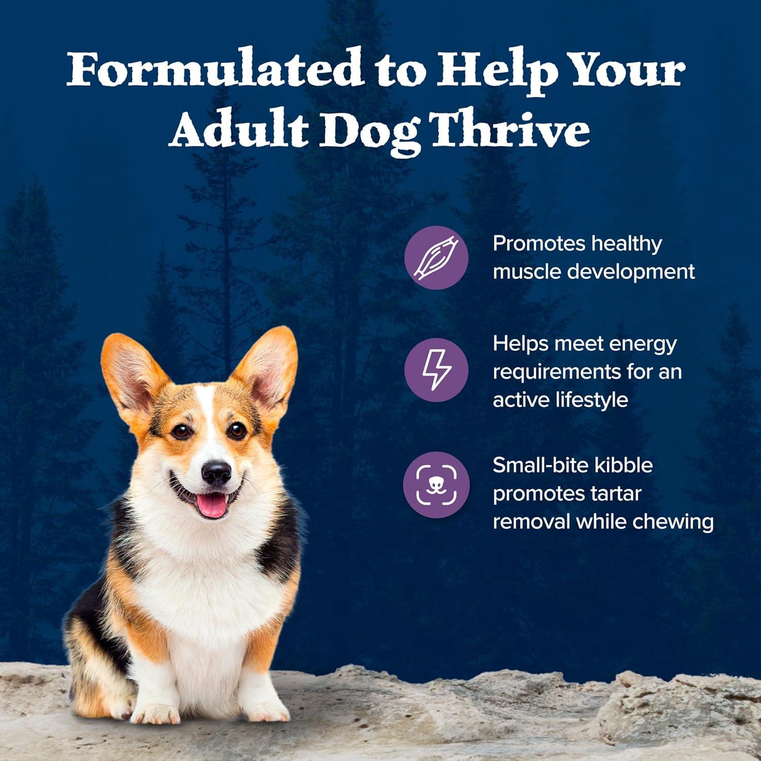 imageBlue Buffalo Wilderness Natural HighProtein SmallBite Dry Food for Adult Dogs with Wholesome Grains Chicken 28lb Bag15 Pound Pack of 1