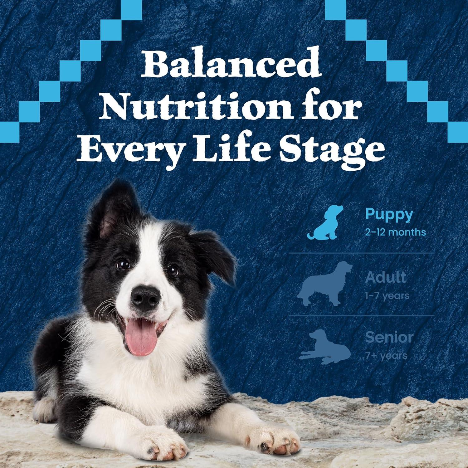 imageBlue Buffalo Wilderness Rocky Mountain Recipe HighProtein Dry Puppy Food with DHA Made in the USA with Natural Ingredients Plus Wholesome Grains Red Meat 45lb BagRed Meat with Grain