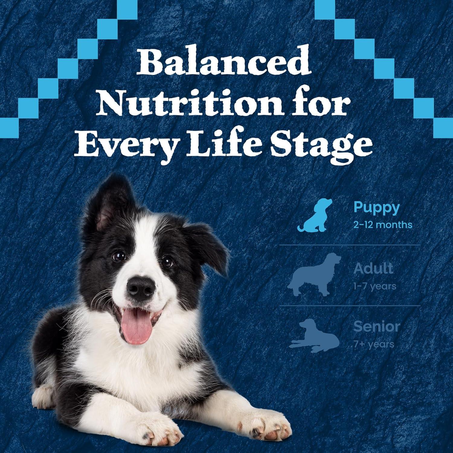 imageBlue Buffalo Wilderness Rocky Mountain Recipe HighProtein Dry Puppy Food with DHA Made in the USA with Natural Ingredients Plus Wholesome Grains Red Meat 45lb BagRed Meat with Grain