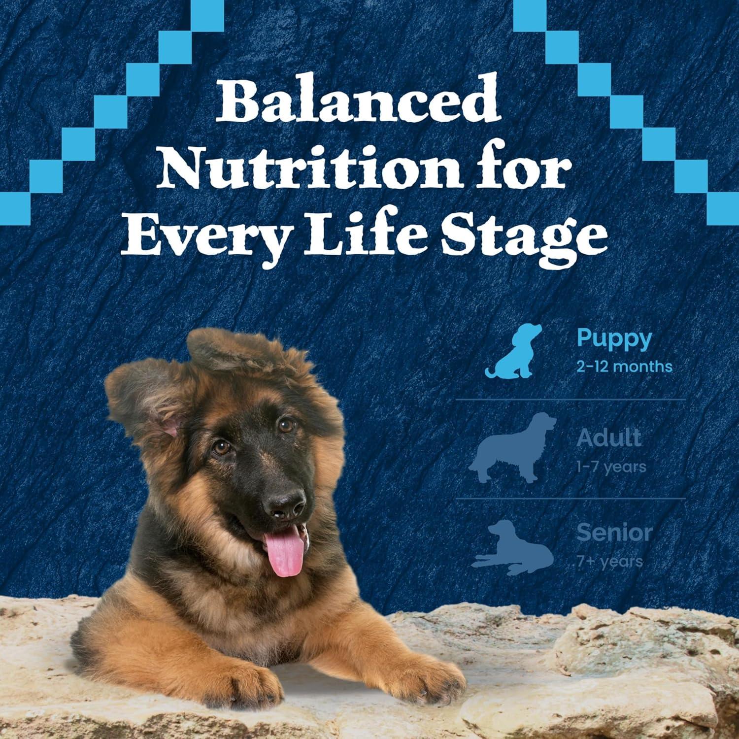 imageBlue Buffalo Wilderness Rocky Mountain Recipe HighProtein Dry Puppy Food with DHA Made in the USA with Natural Ingredients Plus Wholesome Grains Red Meat 45lb BagGranule