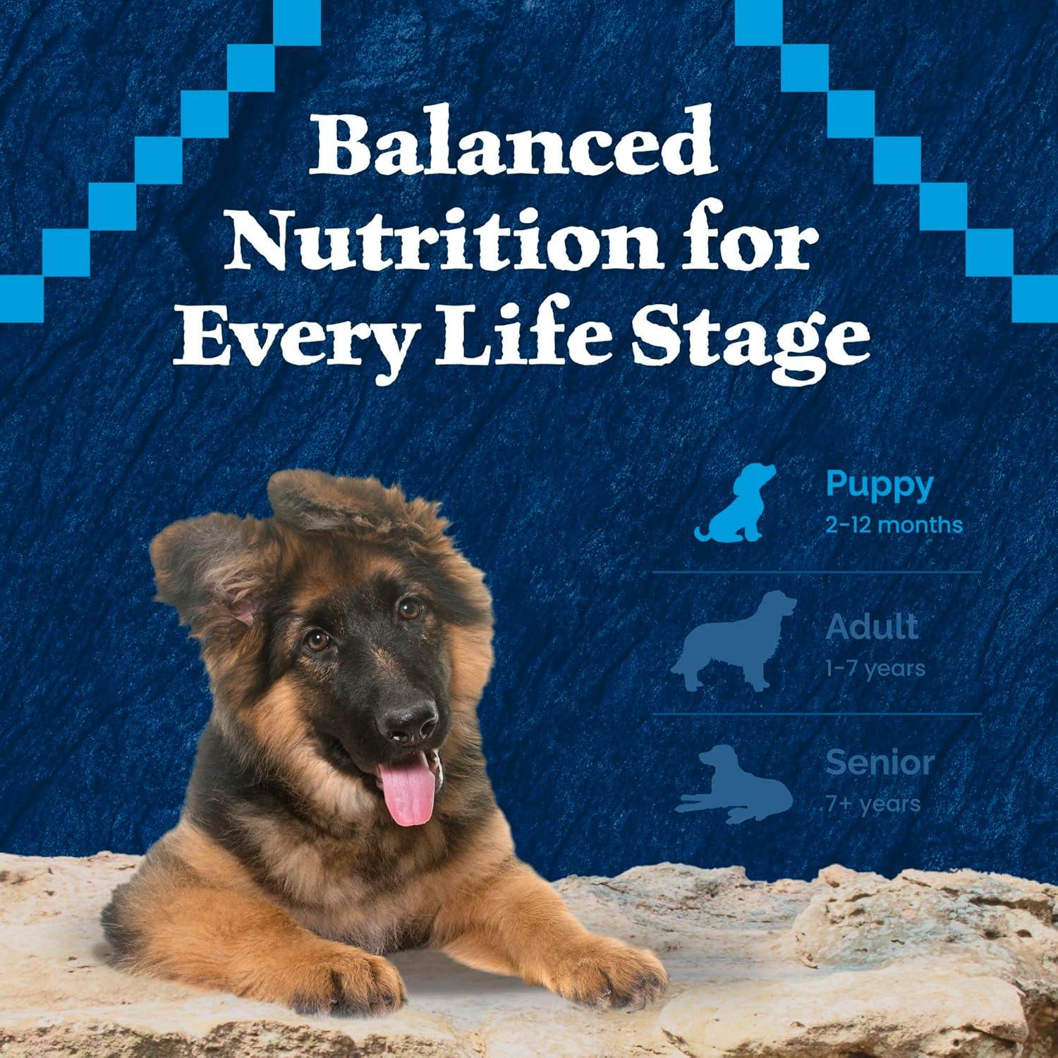 imageBlue Buffalo Wilderness Rocky Mountain Recipe HighProtein Dry Puppy Food with DHA Made in the USA with Natural Ingredients Plus Wholesome Grains Red Meat 45lb BagChicken Grain Free