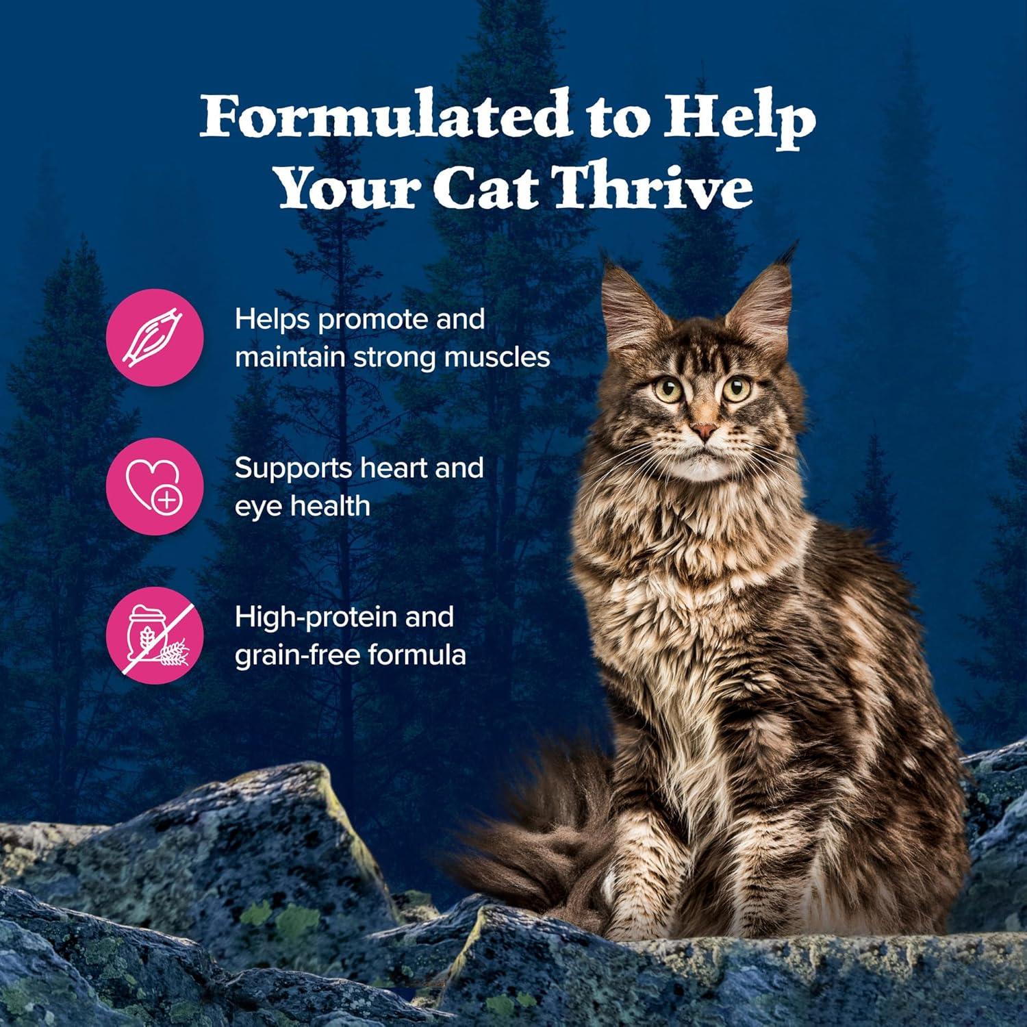 imageBlue Buffalo Wilderness Wild Delights Meaty Morsels Natural Wet Cat Food Chicken amp Salmon in Tasty Gravy 3oz Cans 24PackChicken Salmon