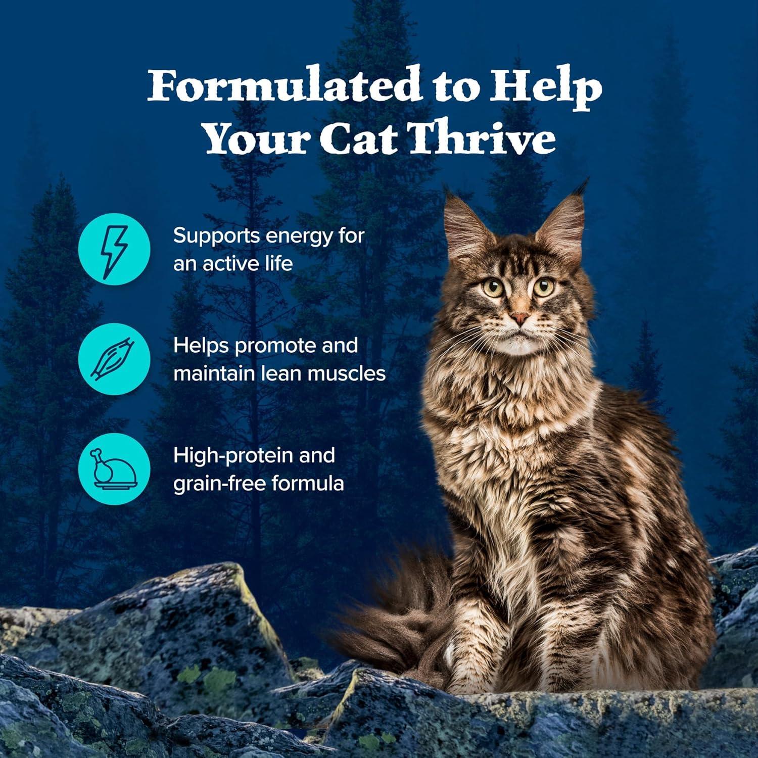 imageBlue Buffalo Wilderness Wild Delights Meaty Morsels Natural Wet Cat Food Chicken amp Salmon in Tasty Gravy 3oz Cans 24PackChicken Trout