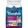 1 Count (Pack of 1)
