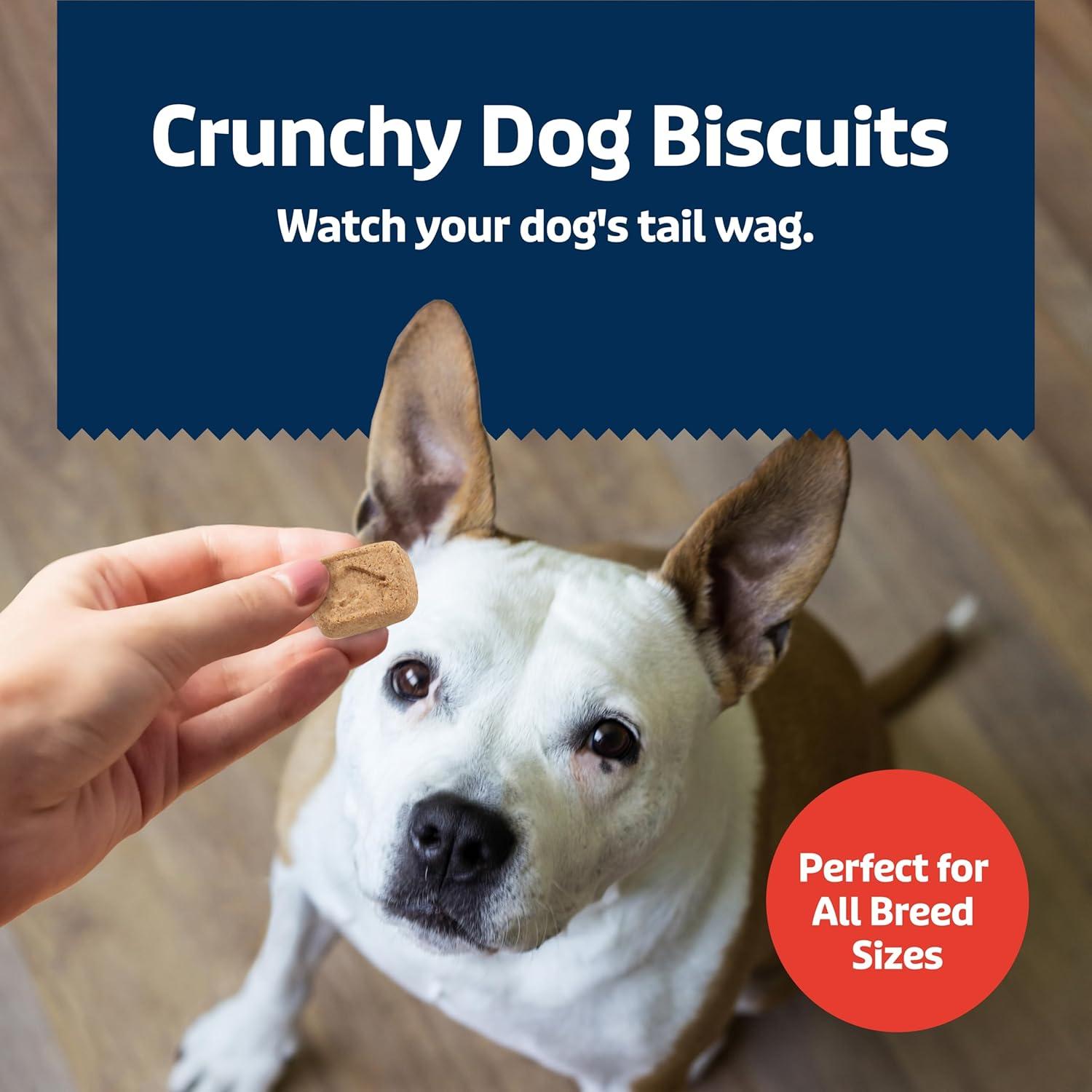 imageBlue Buffalo Health Bars Mini Crunchy Dog Biscuits OvenBaked with Natural Ingredients Bacon Egg amp Cheese 32oz BagMINI Bacon Egg Cheese