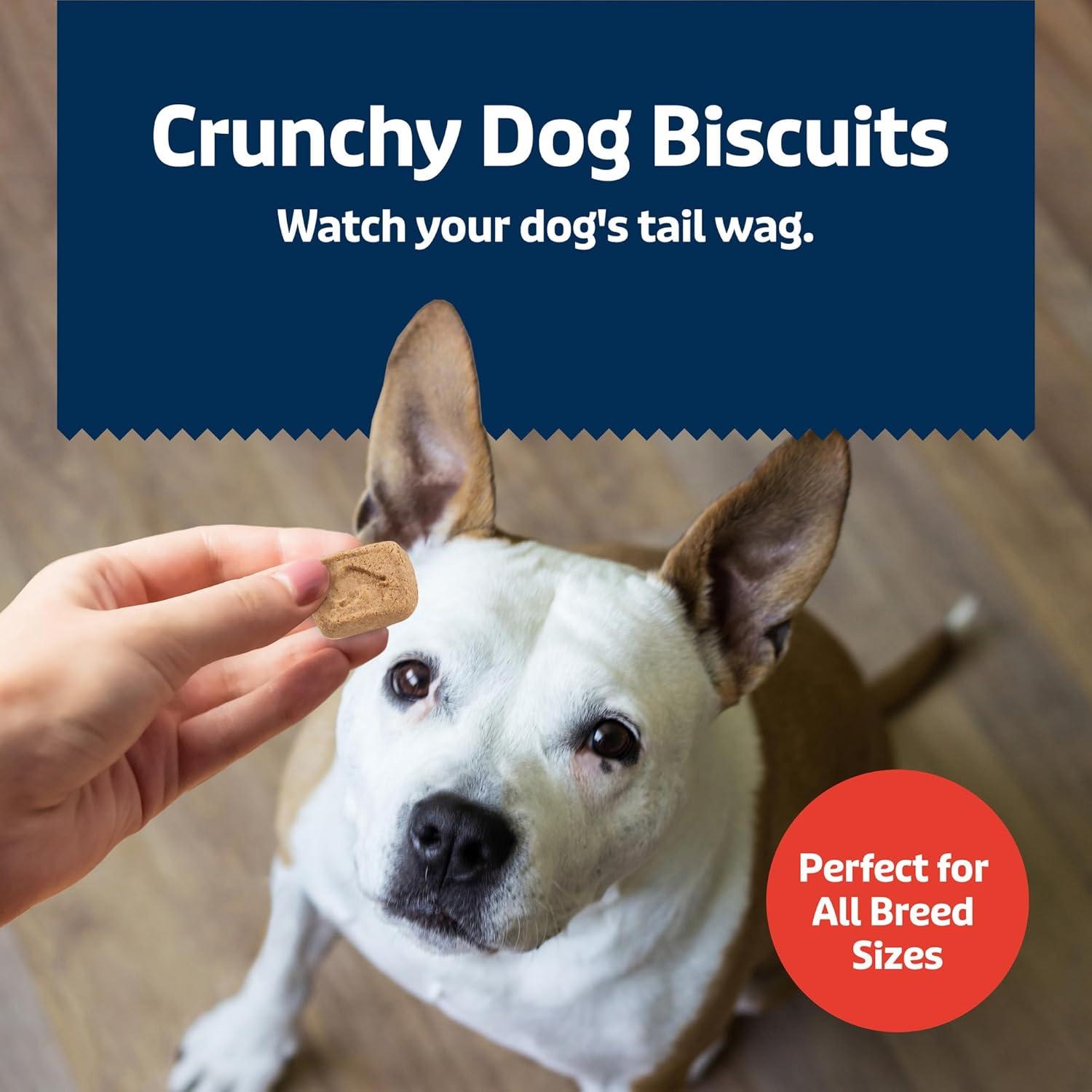 imageBlue Buffalo Health Bars Mini Crunchy Dog Biscuits OvenBaked with Natural Ingredients Bacon Egg amp Cheese 32oz BagMINI Bacon Egg Cheese